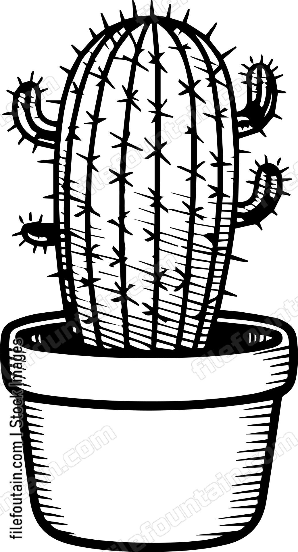 Cactus
