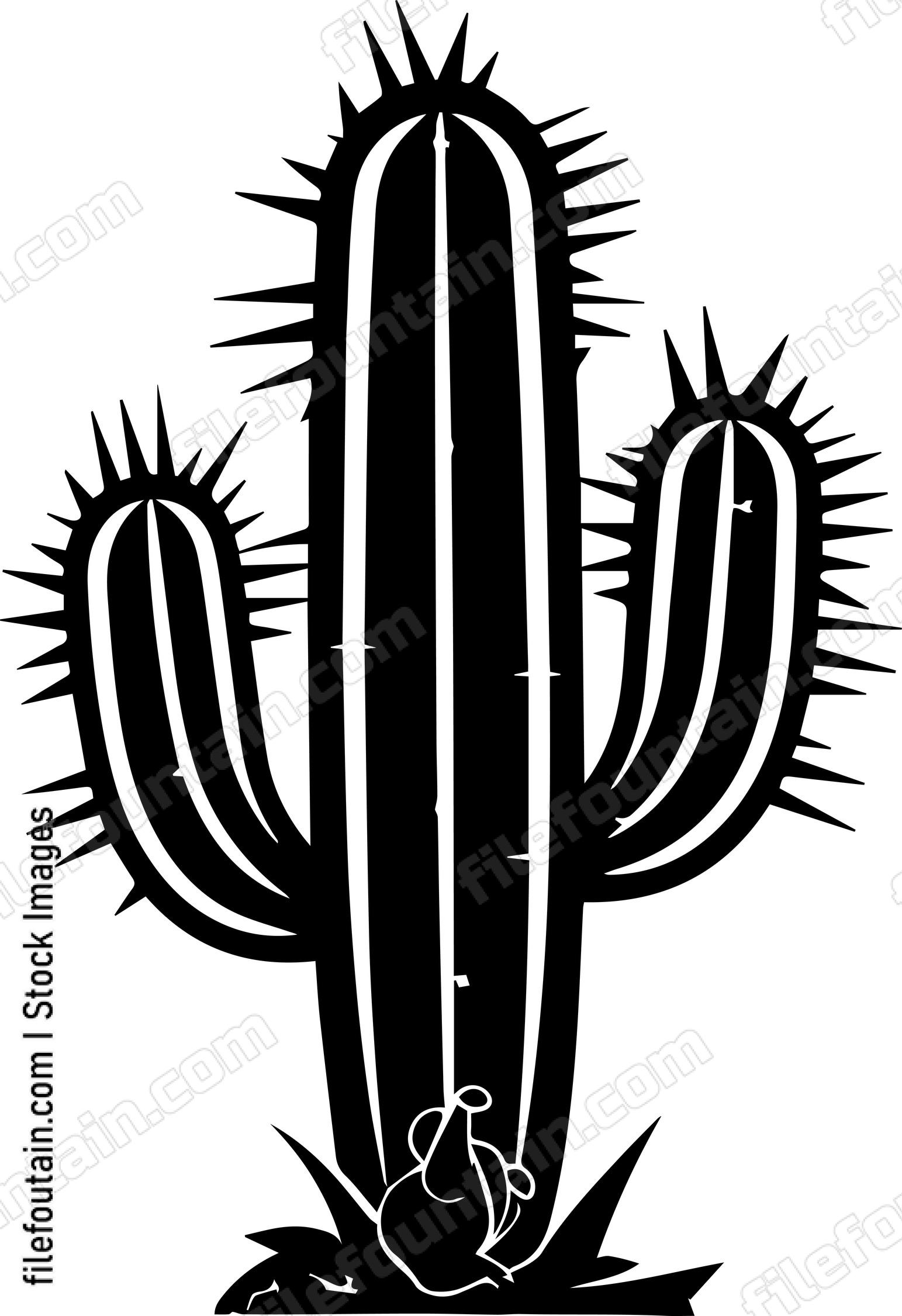 Cactus