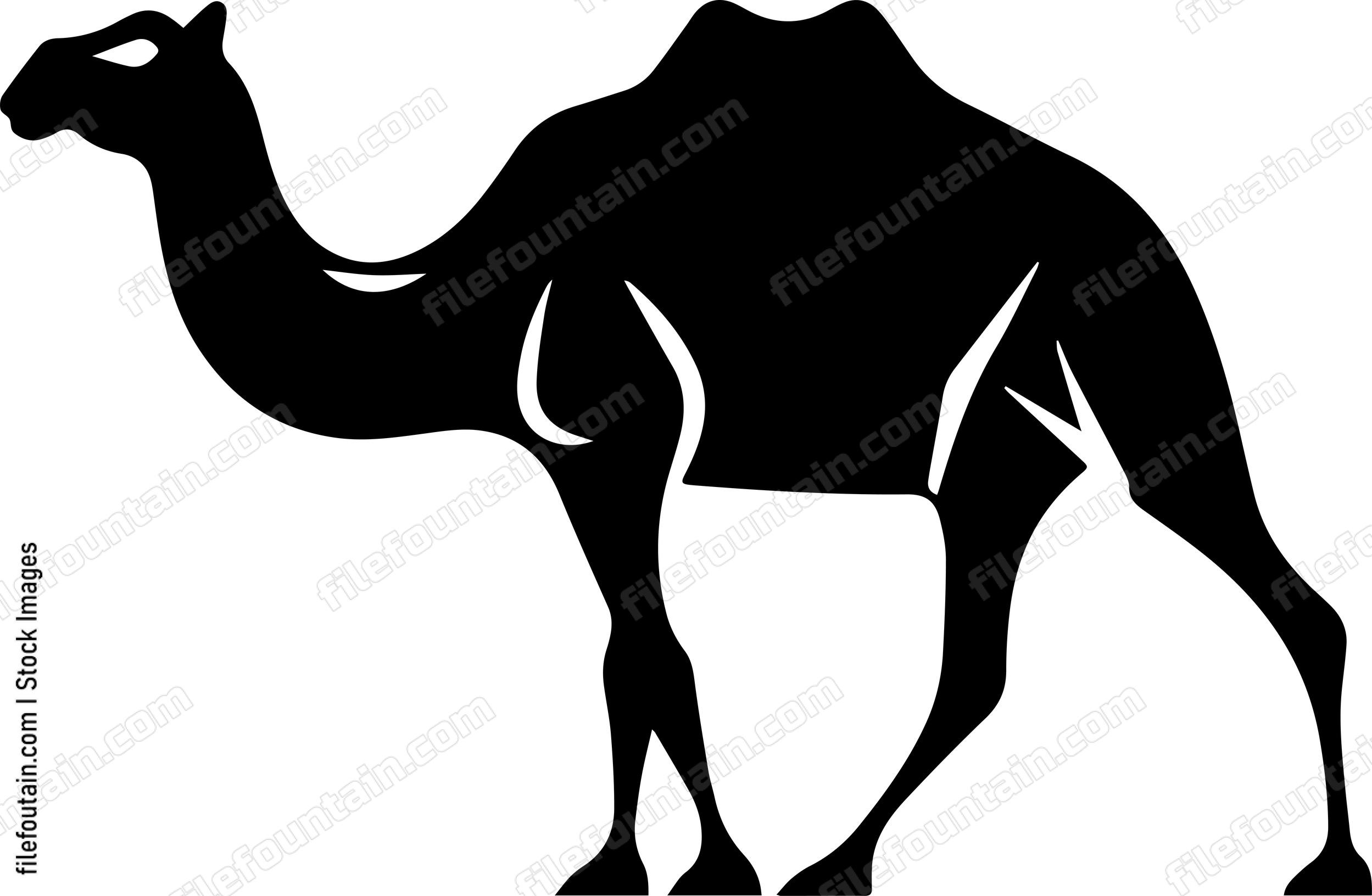 Camel