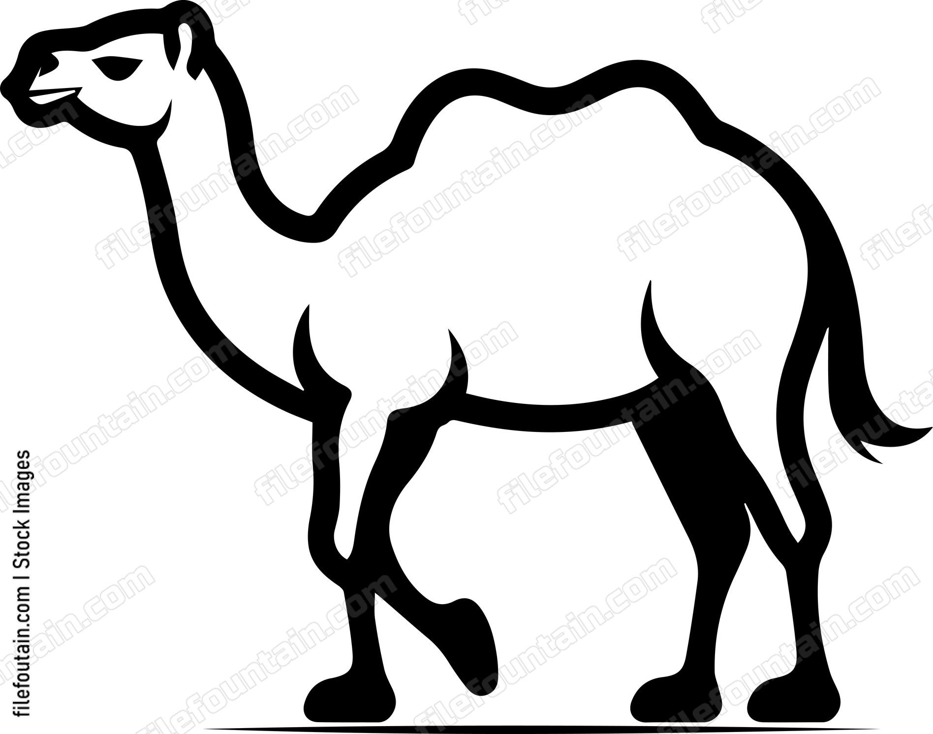 Camel