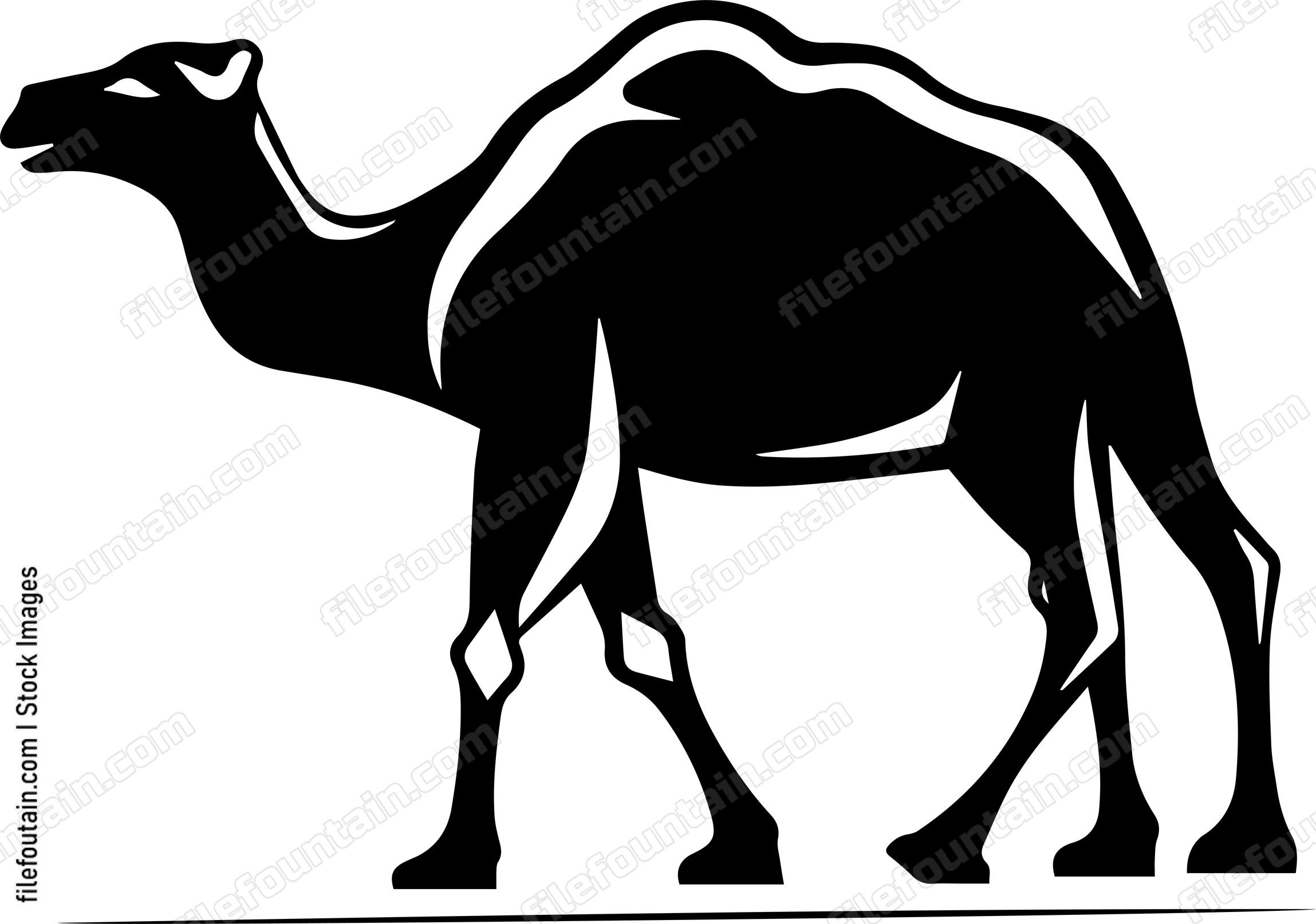 Camel
