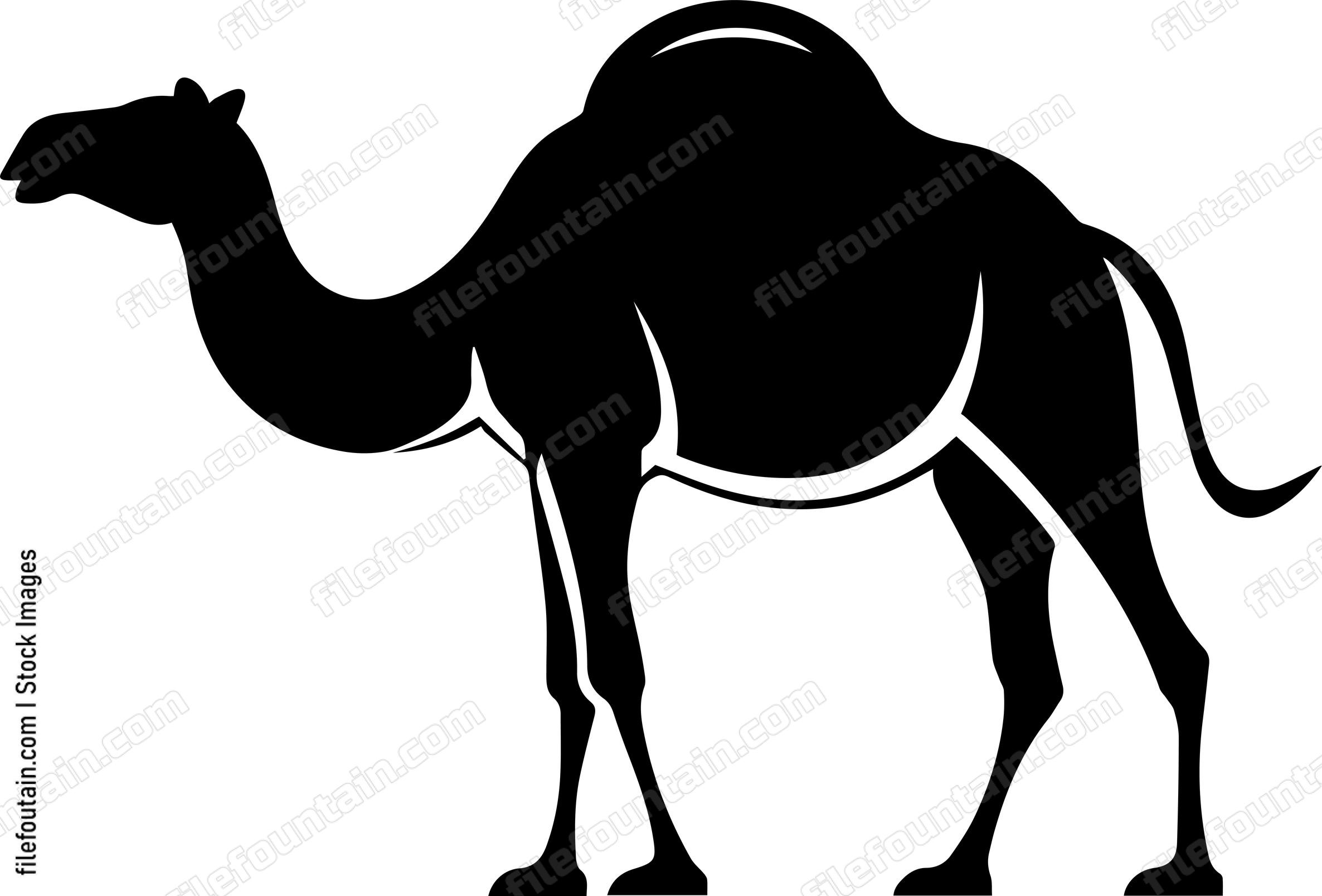 Camel