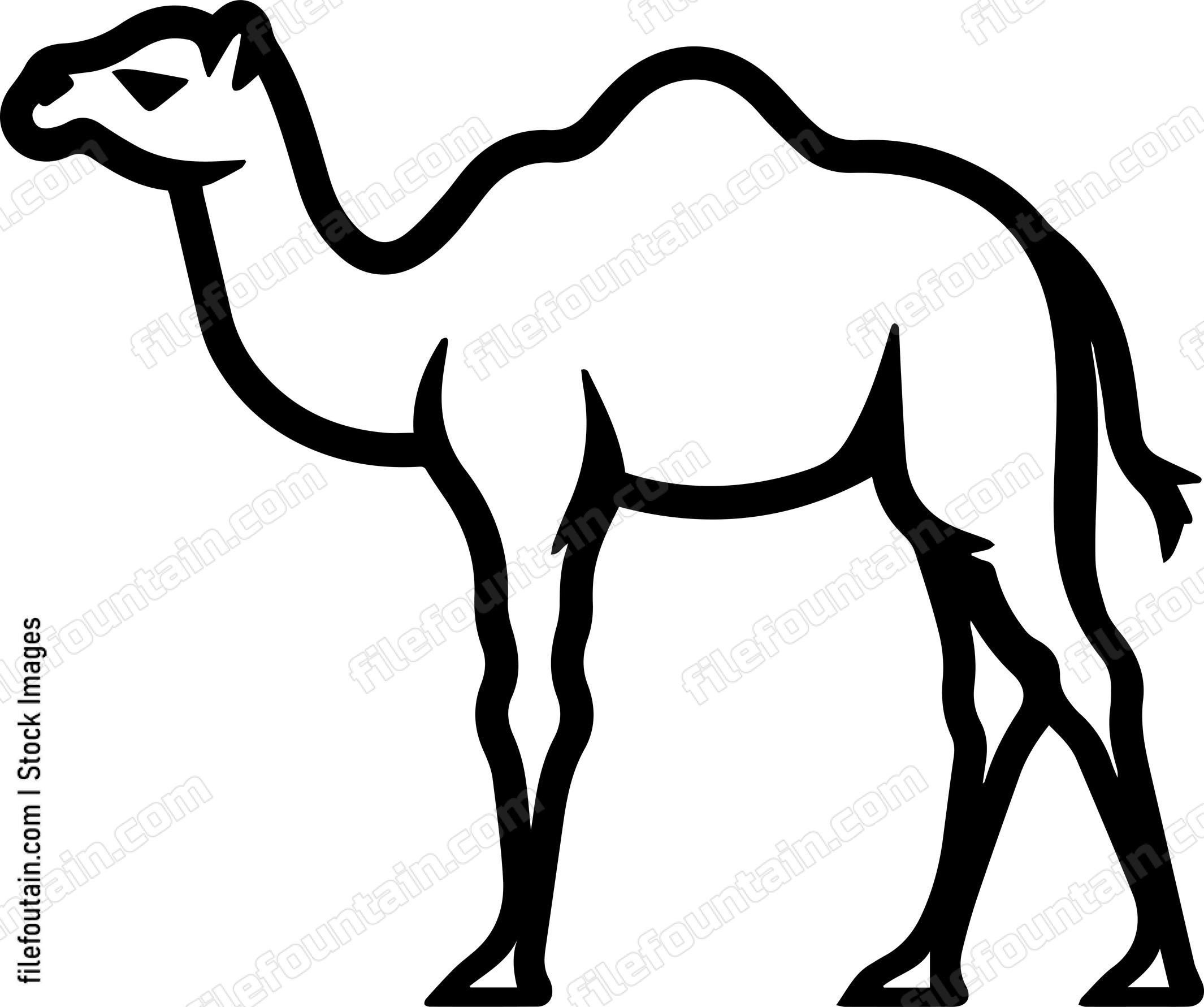 Camel