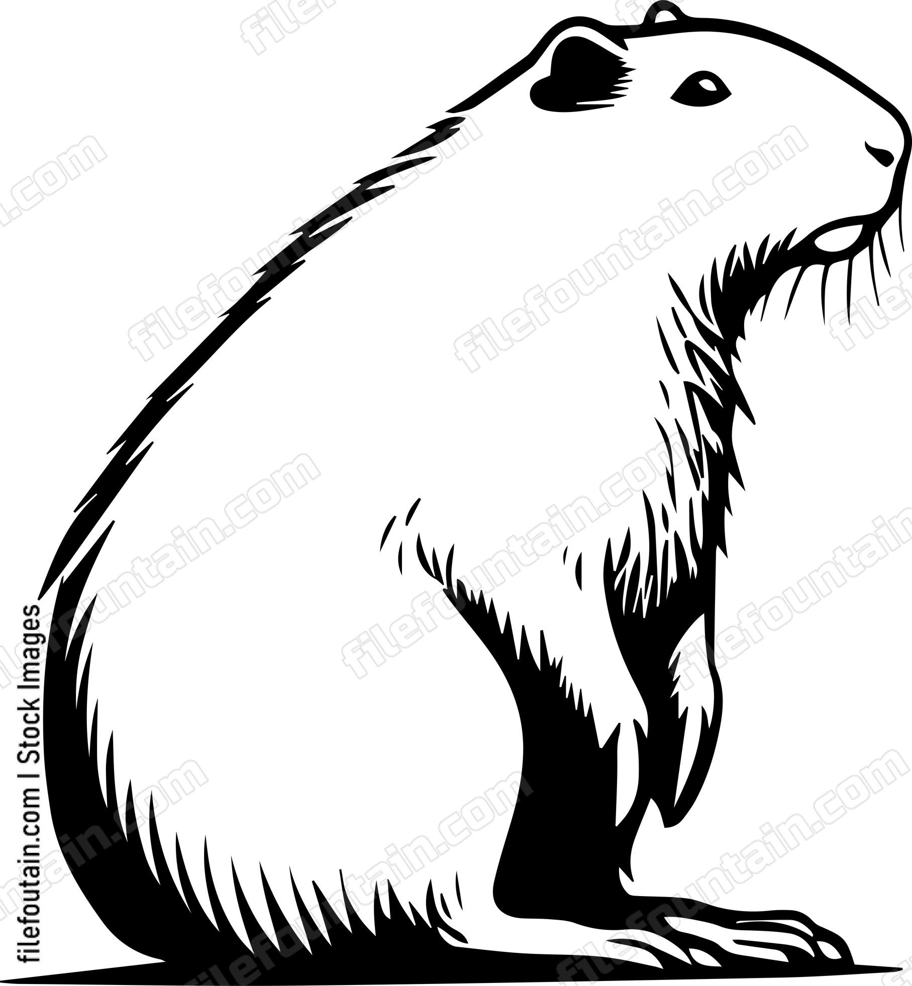 Capybara