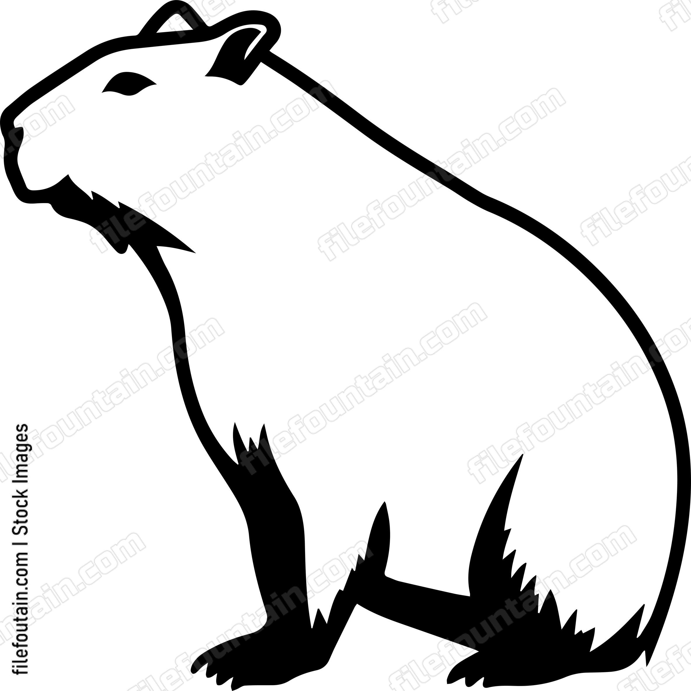 Capybara