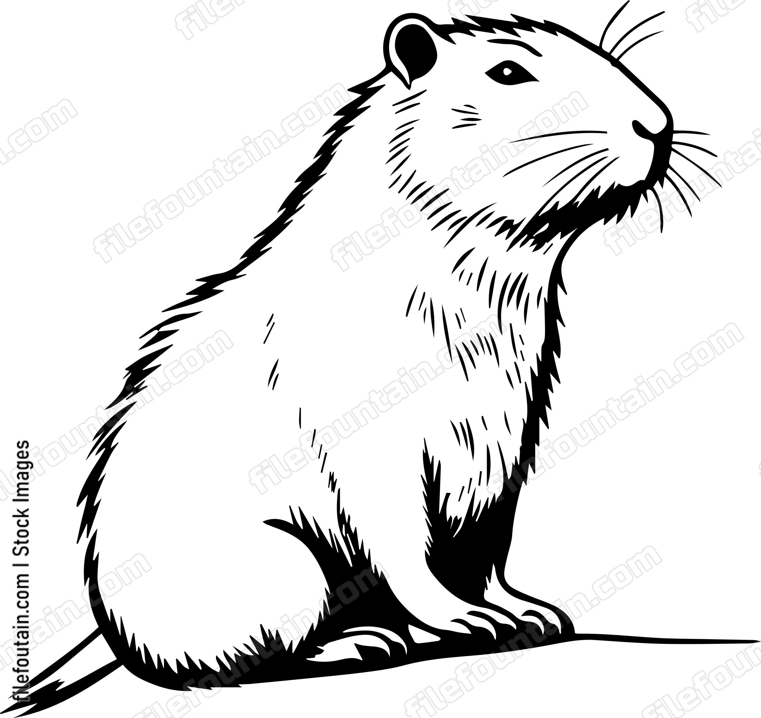 Capybara