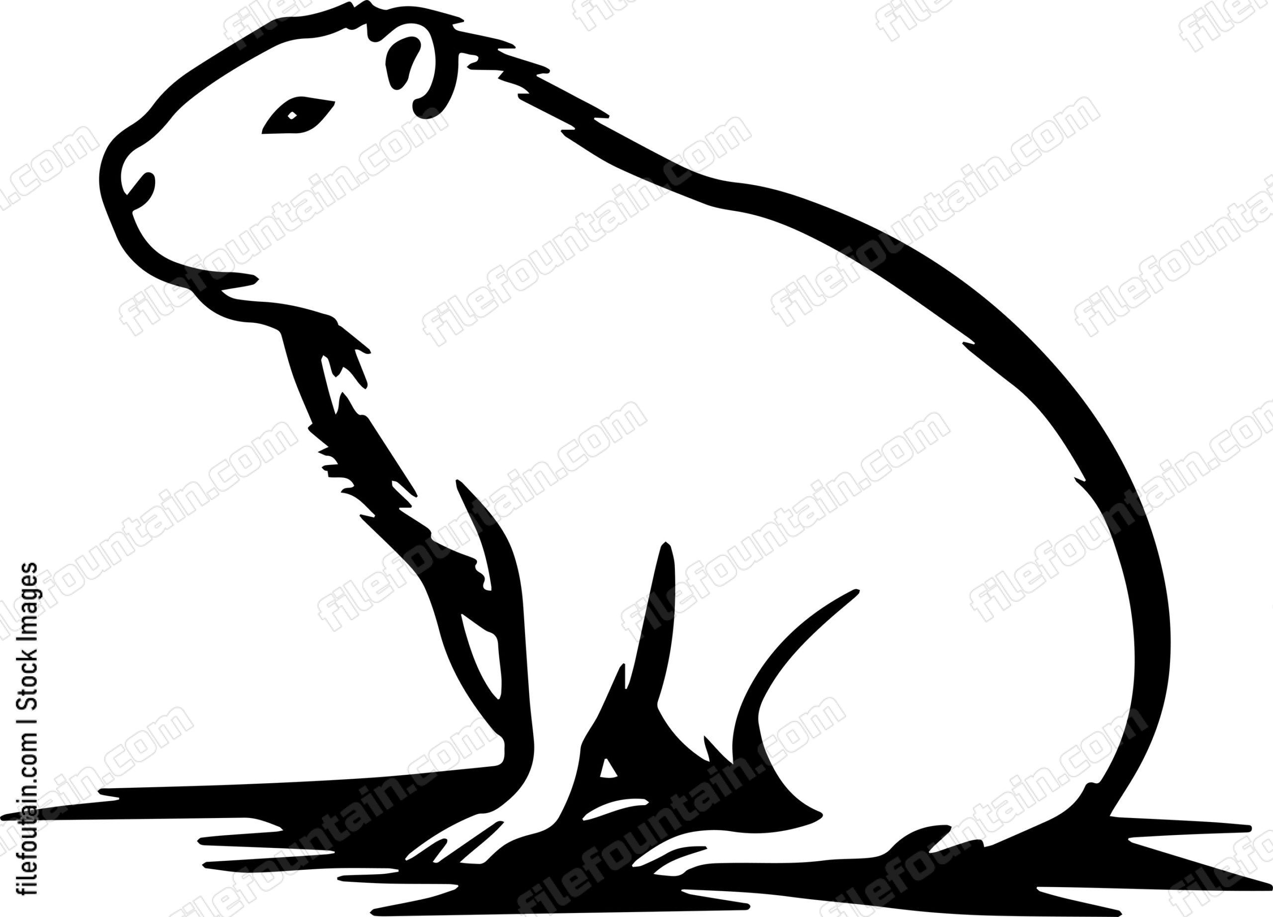 Capybara