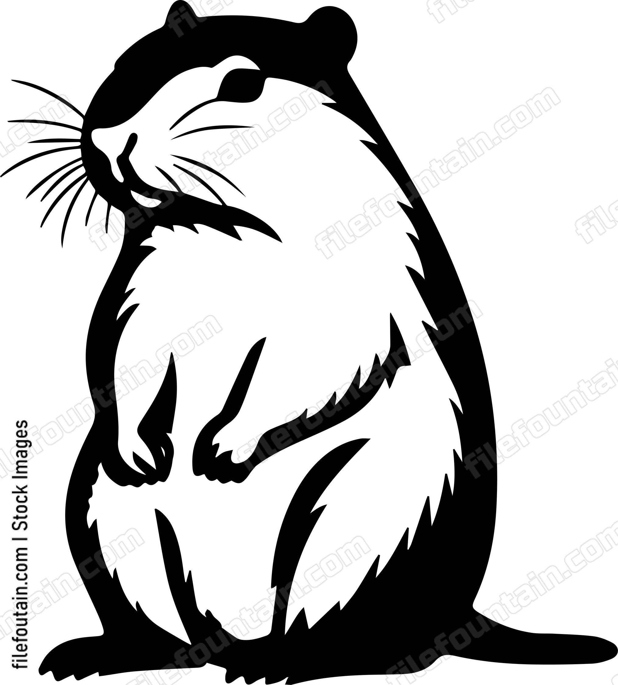 Capybara