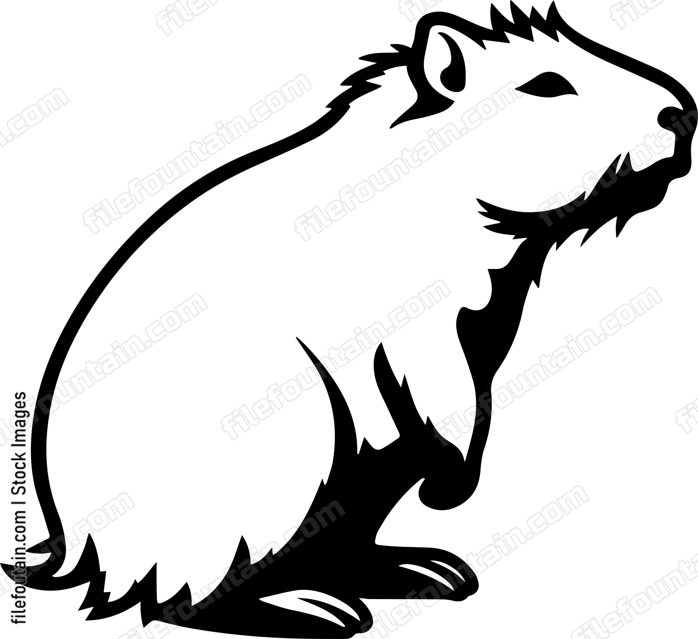Capybara