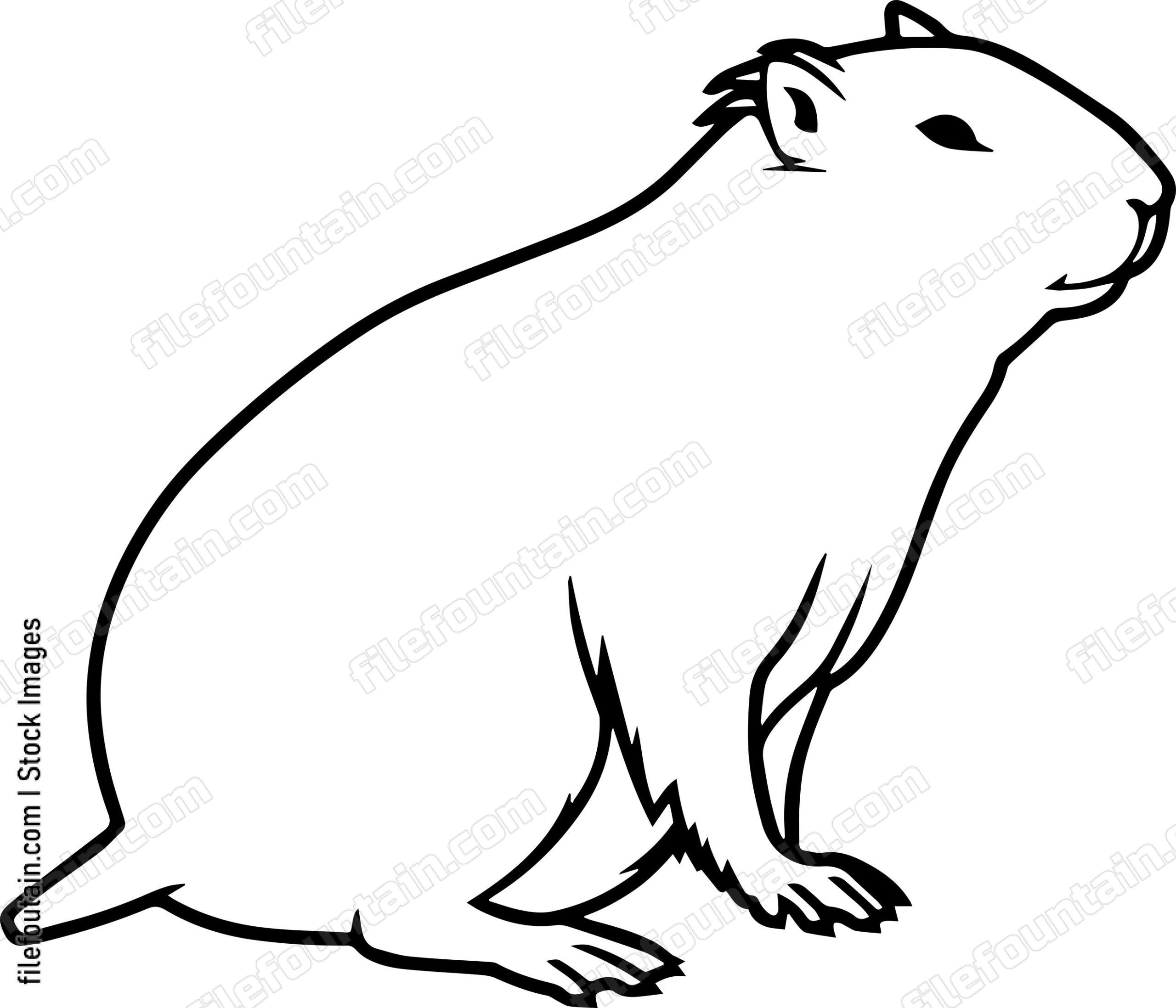 Capybara