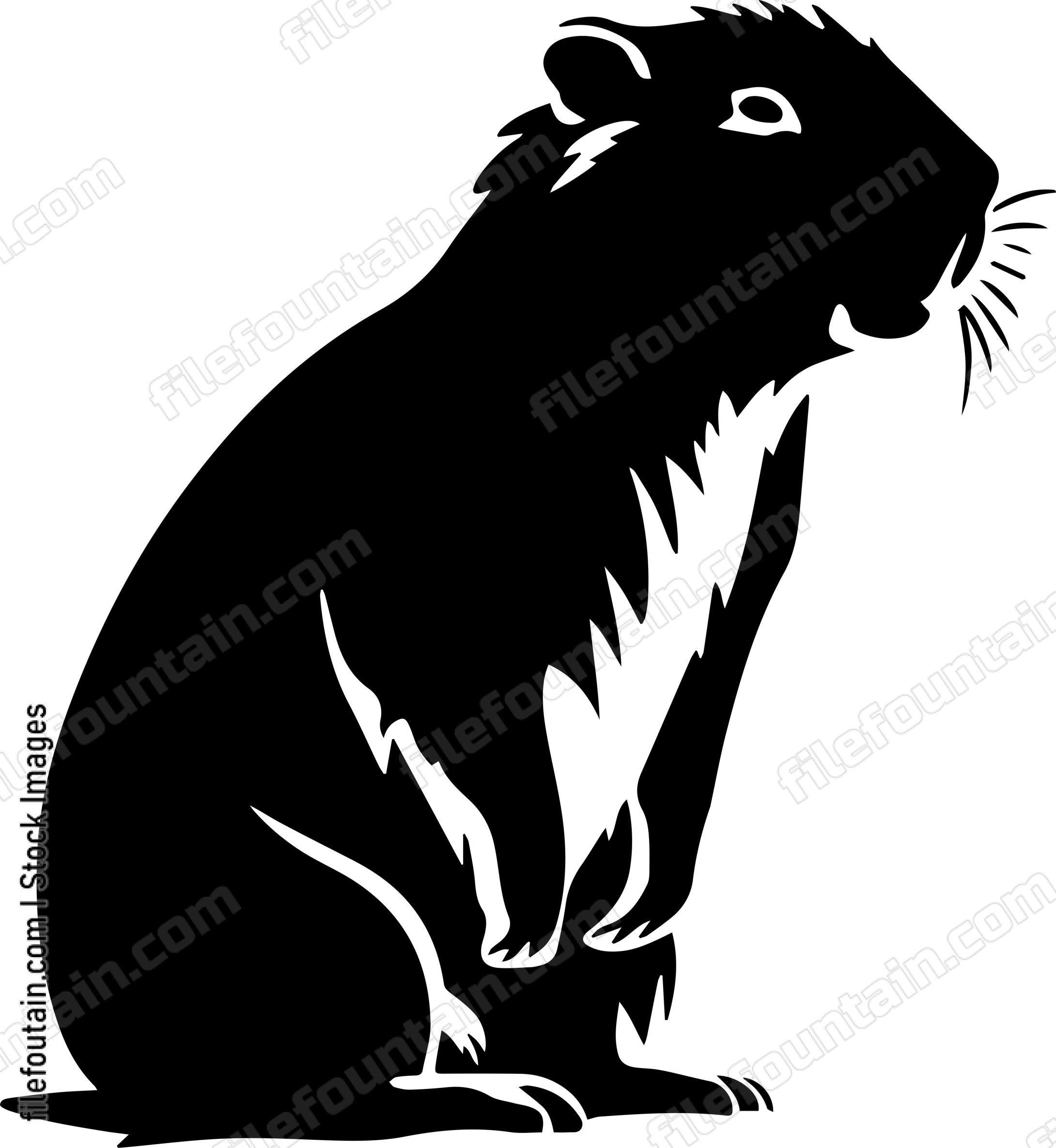 Capybara