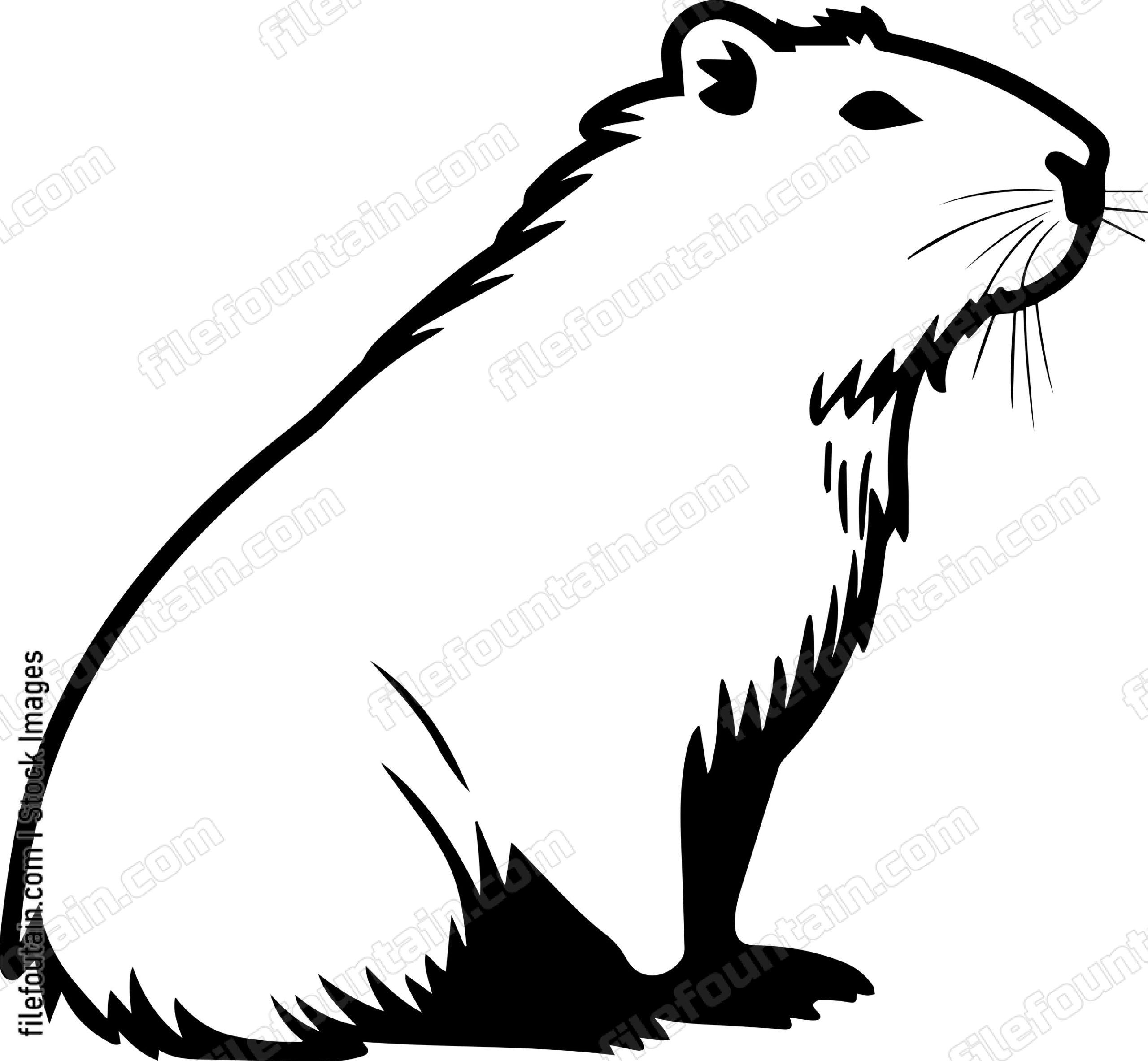 Capybara