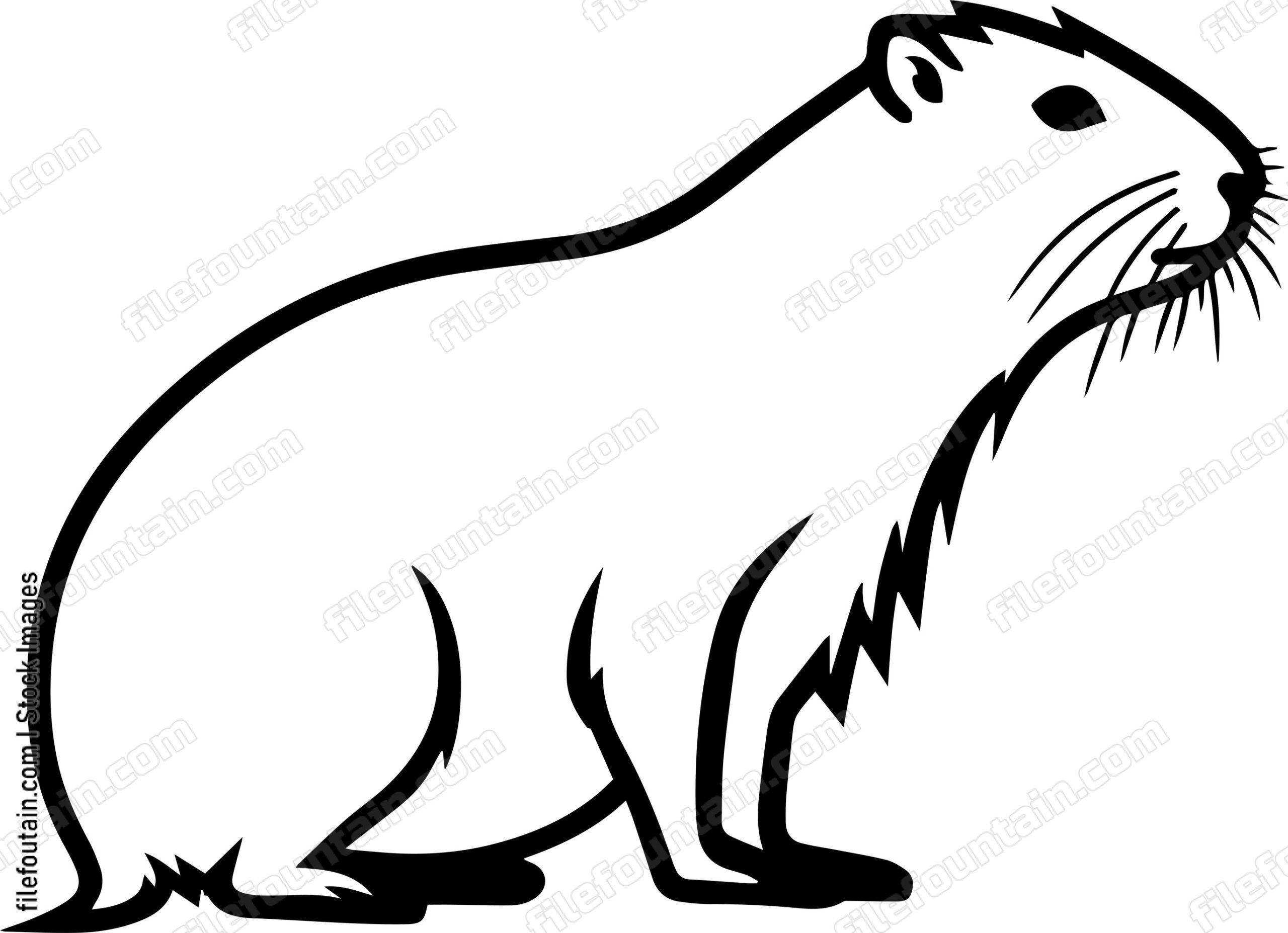 Capybara