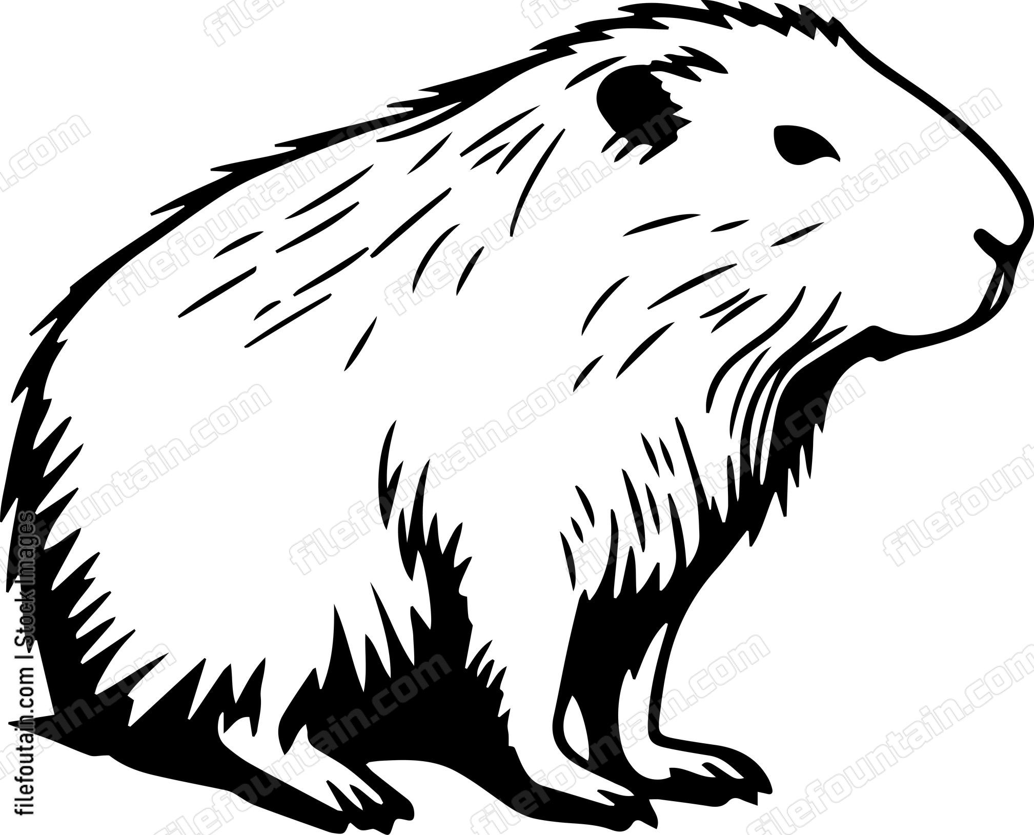 Capybara
