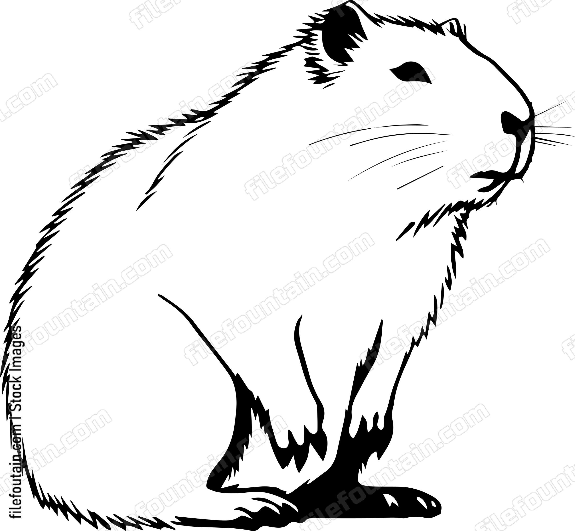 Capybara