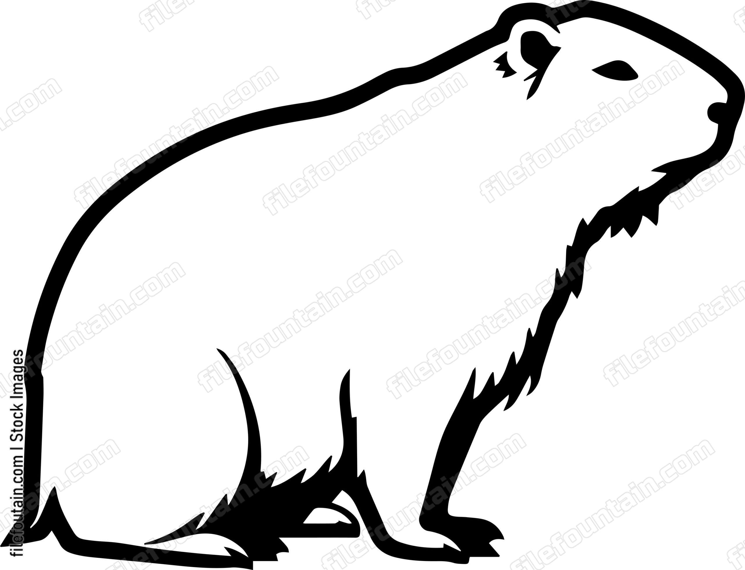 Capybara