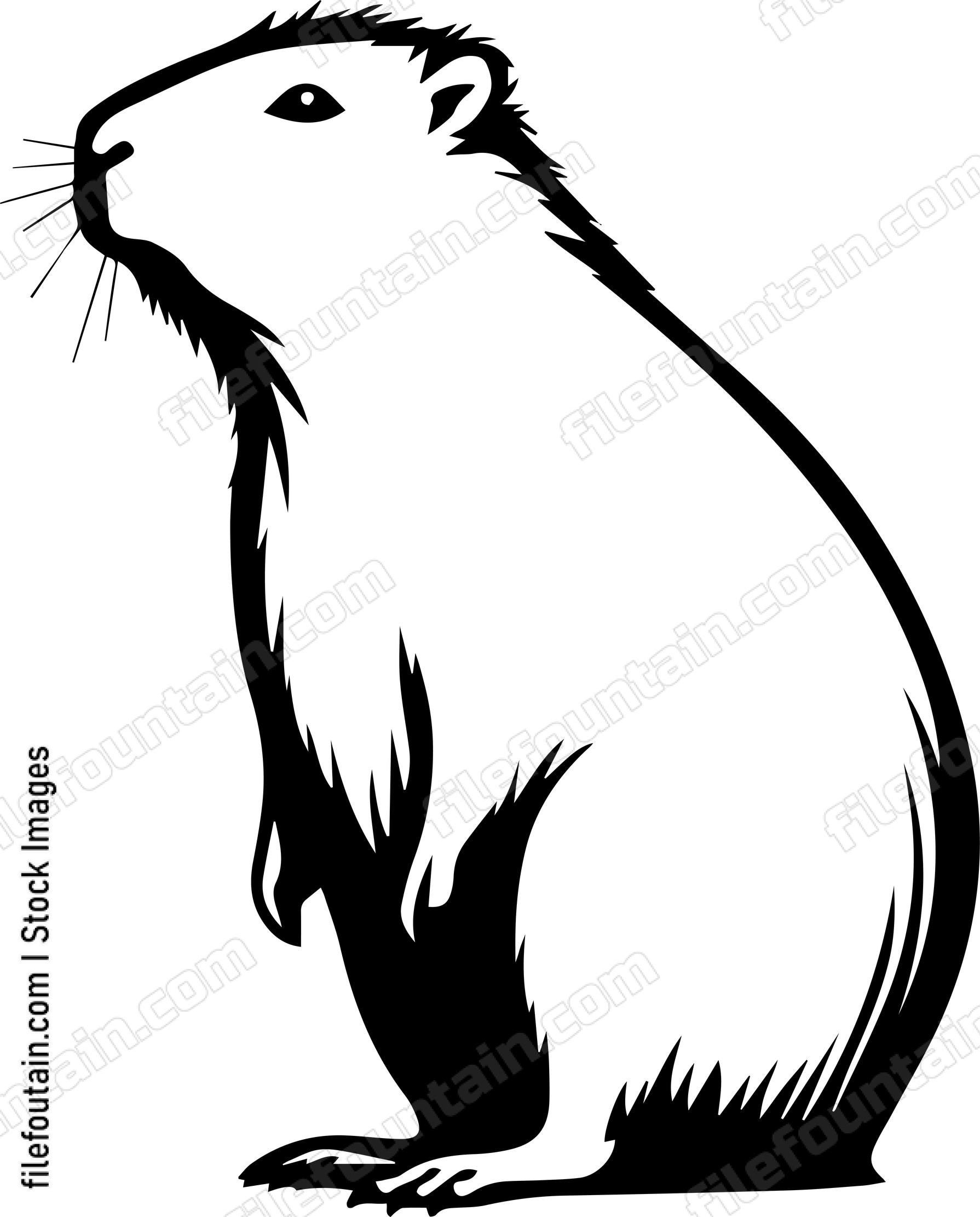 Capybara