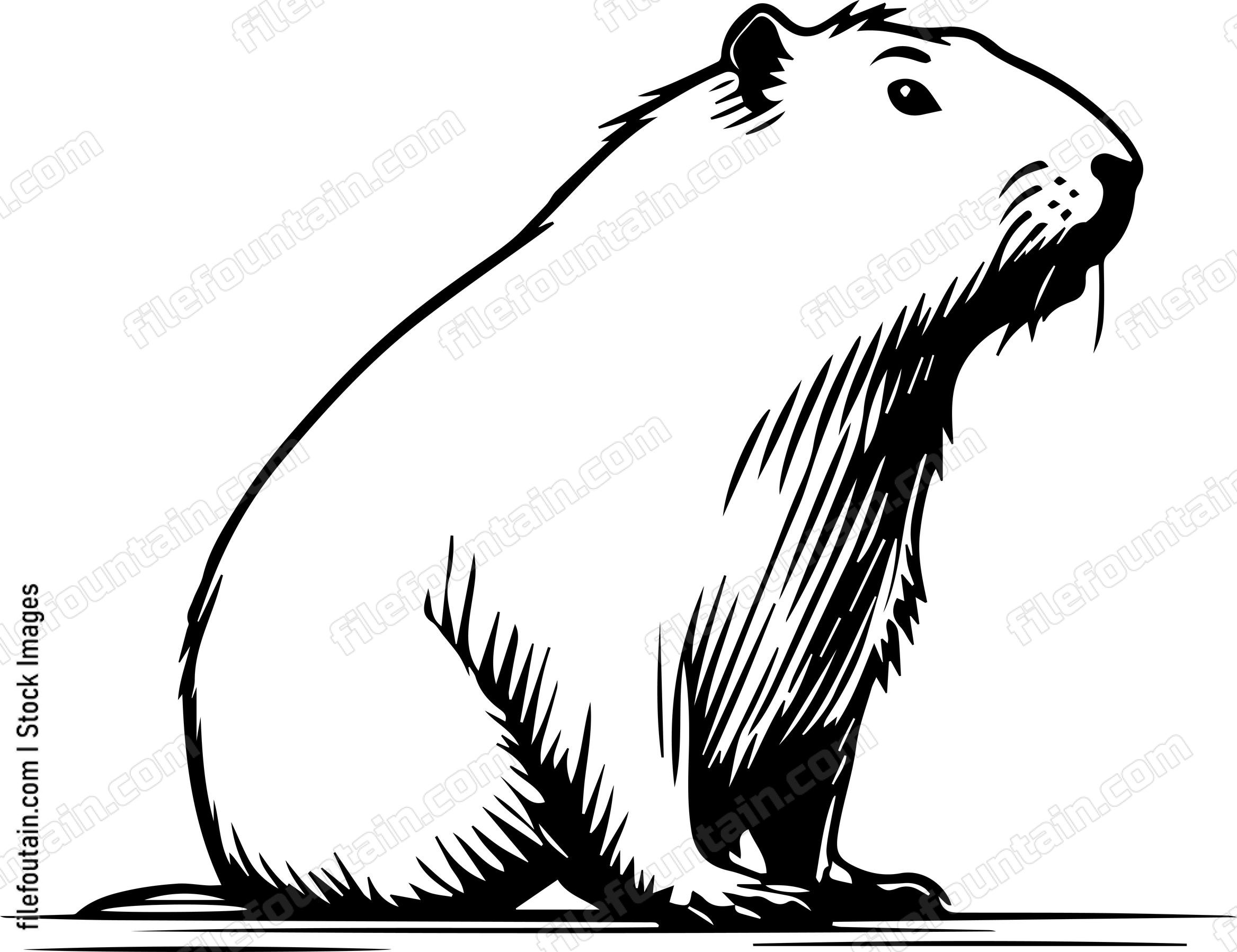 Capybara