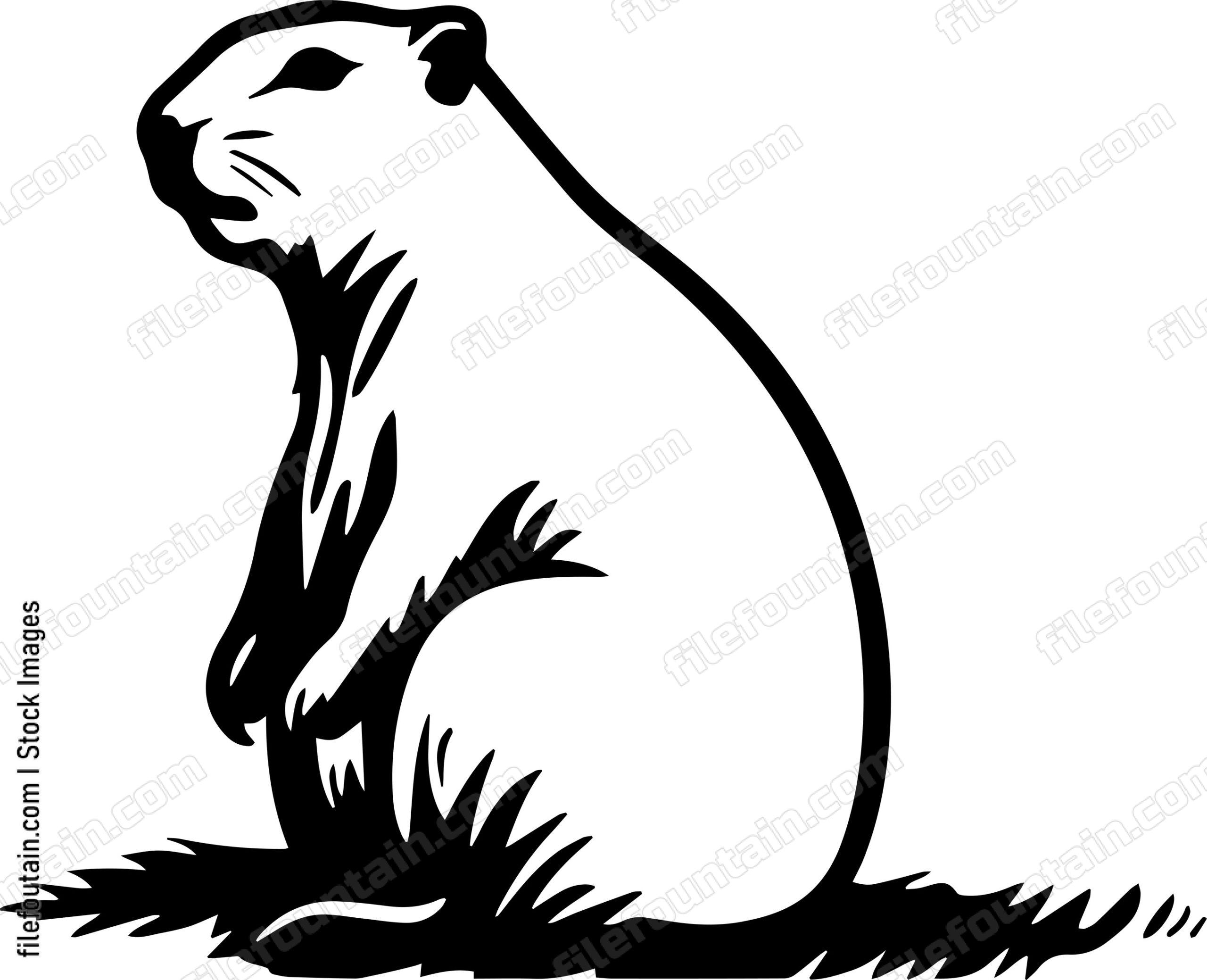 Capybara