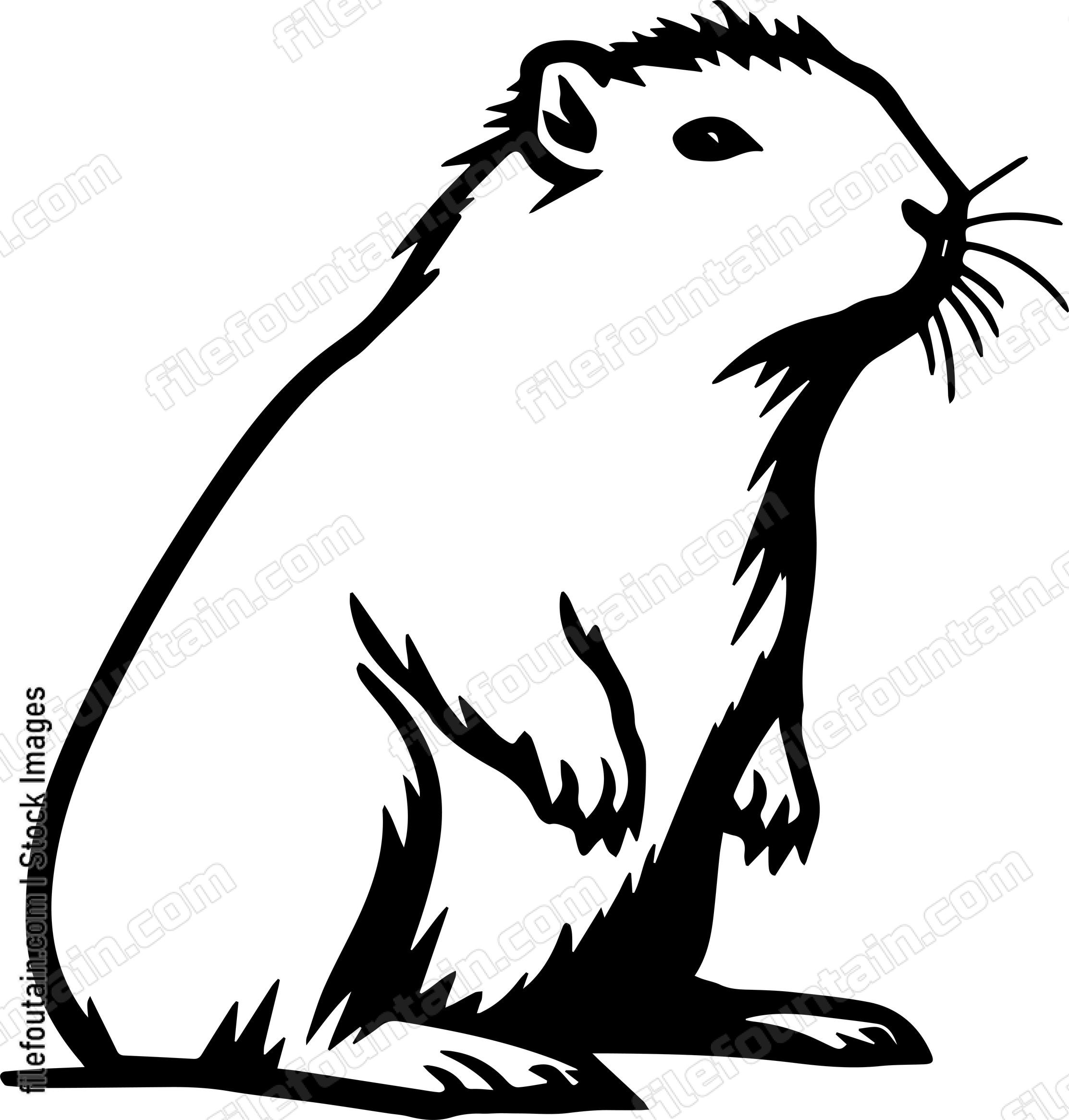 Capybara