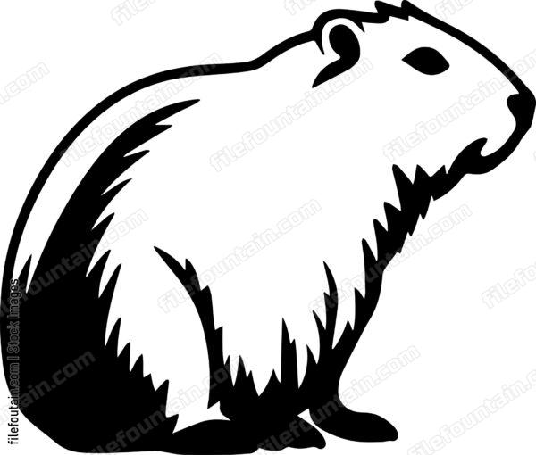 Capybara
