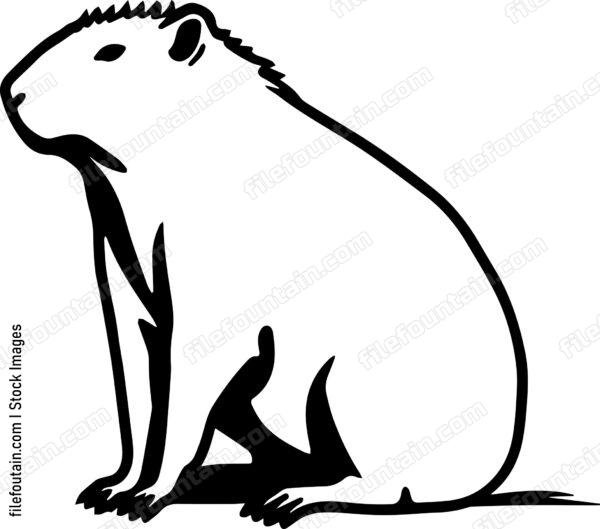 Capybara