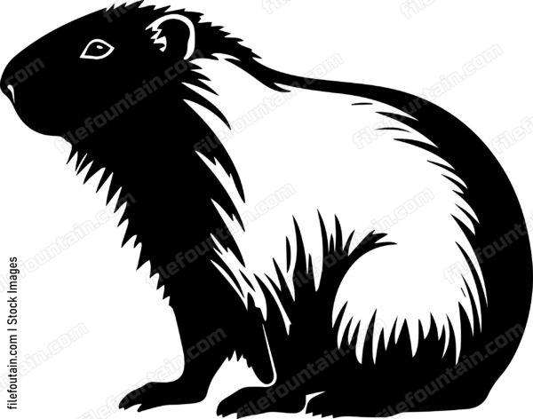 Capybara