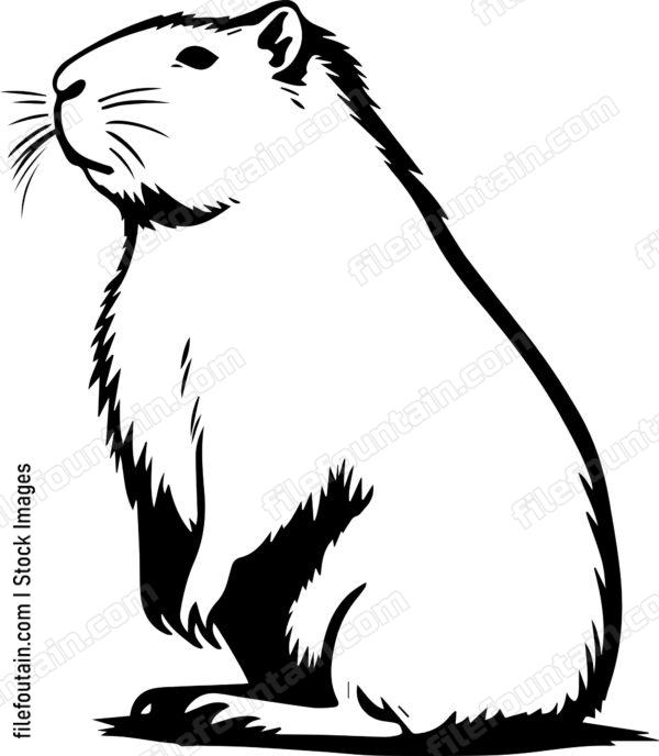 Capybara