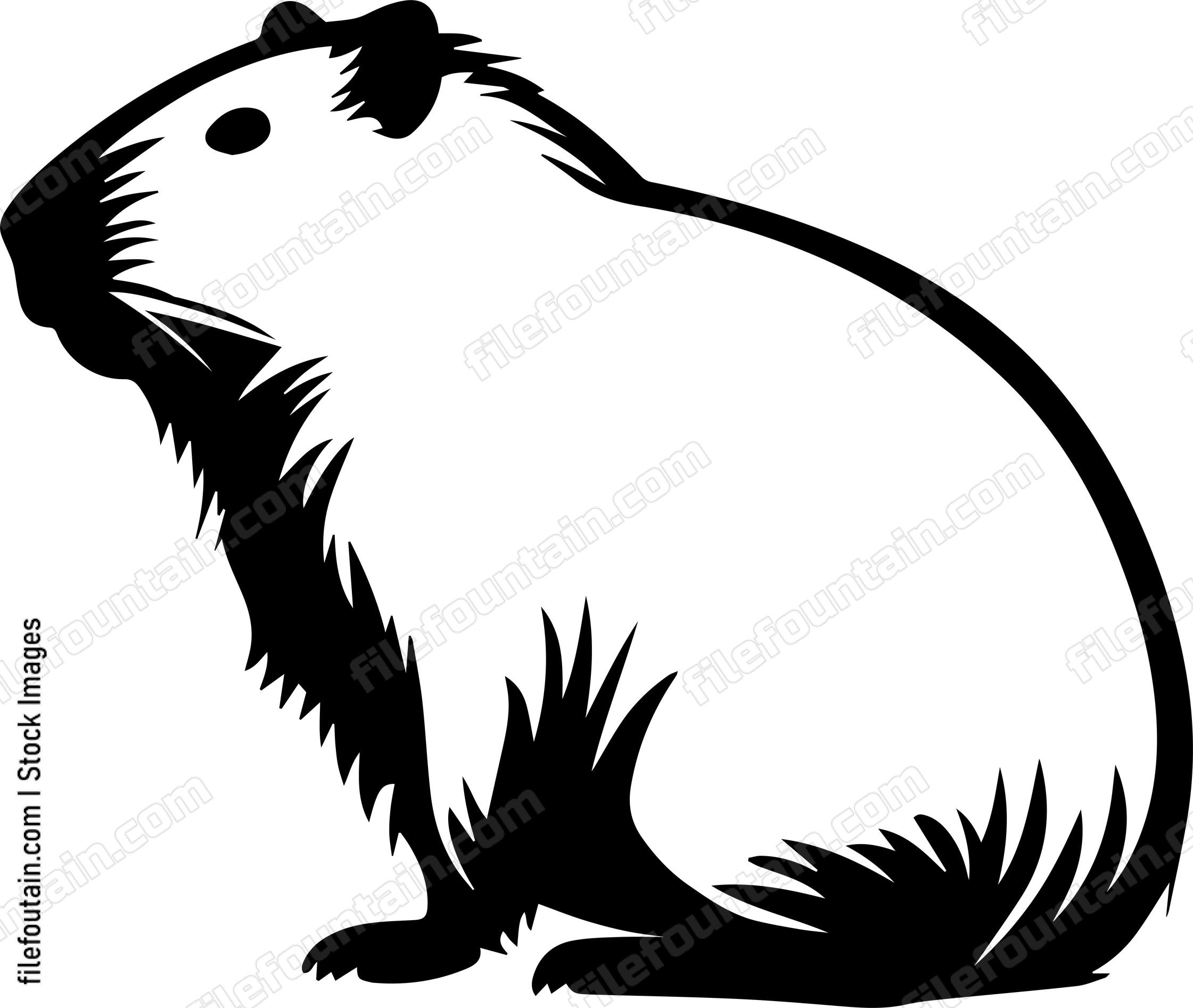 Capybara
