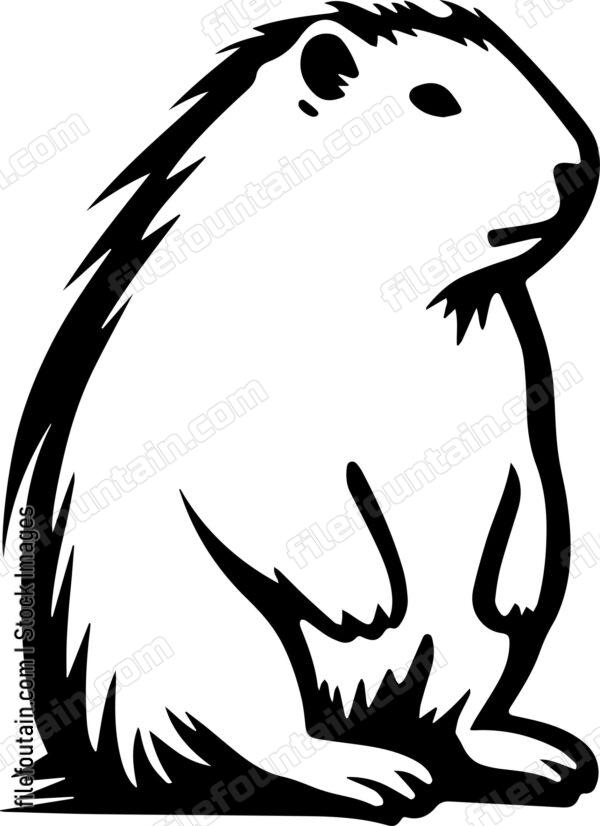 Capybara