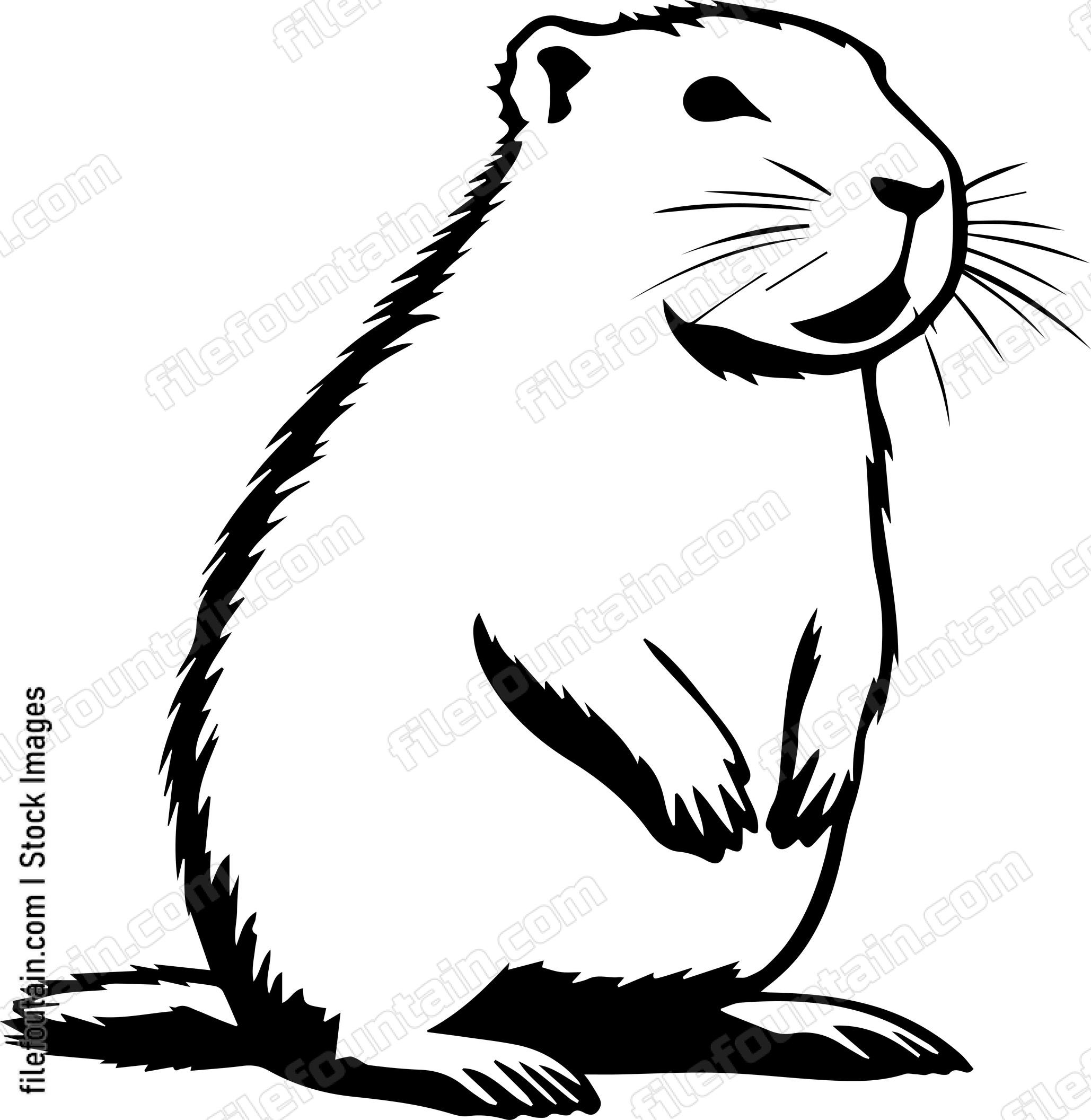Capybara