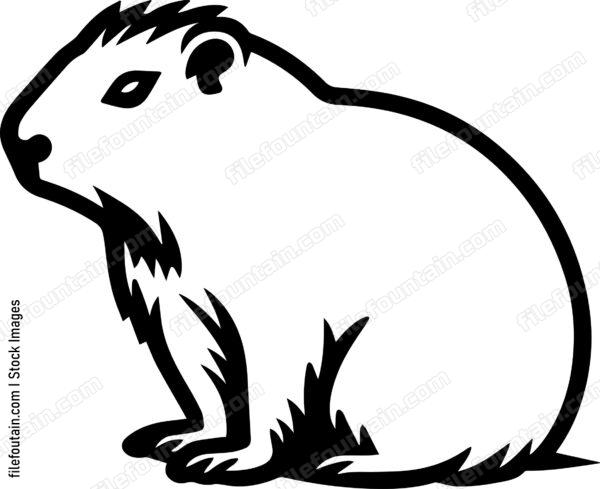 Capybara