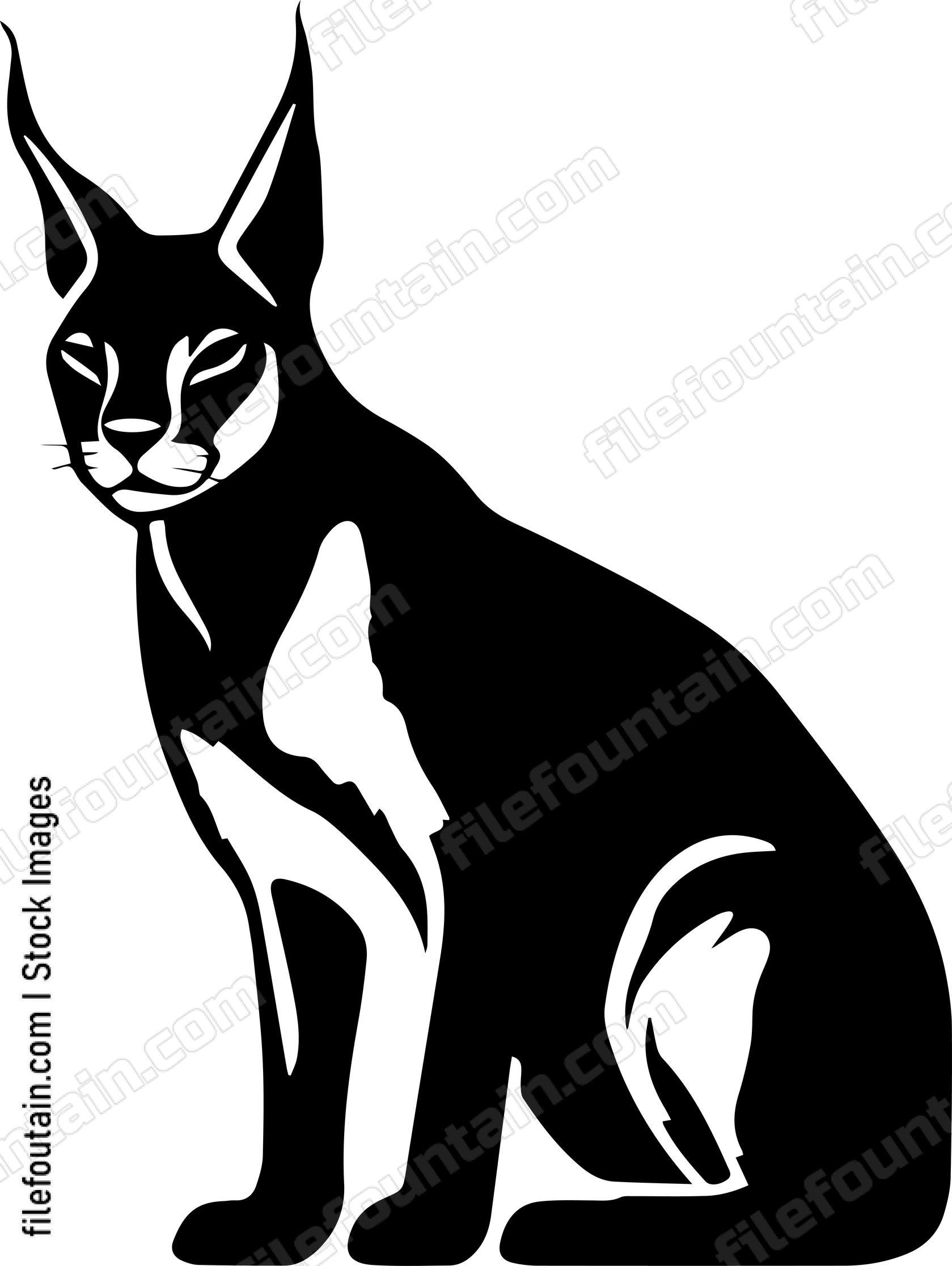 Caracal