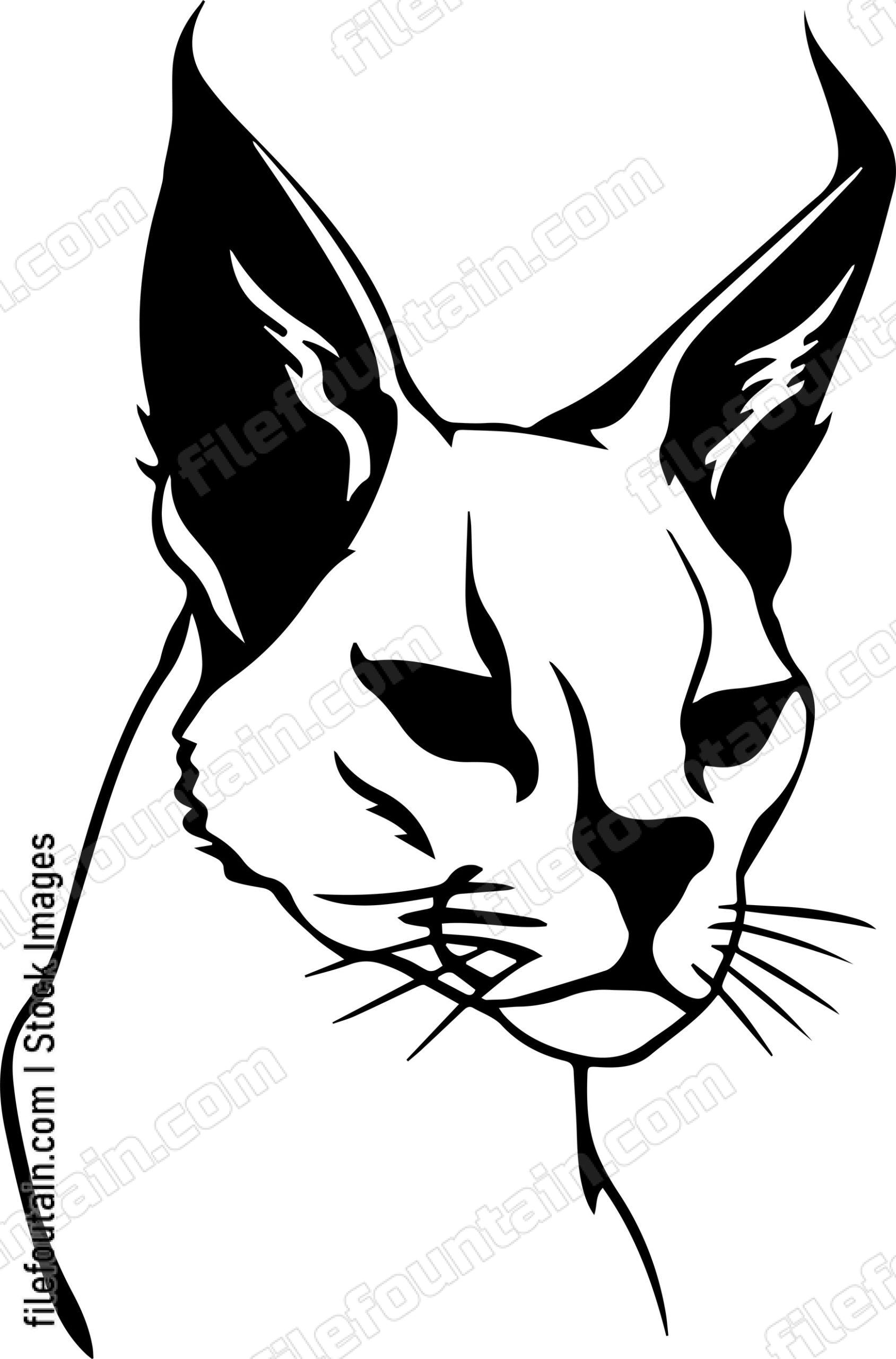 Caracal