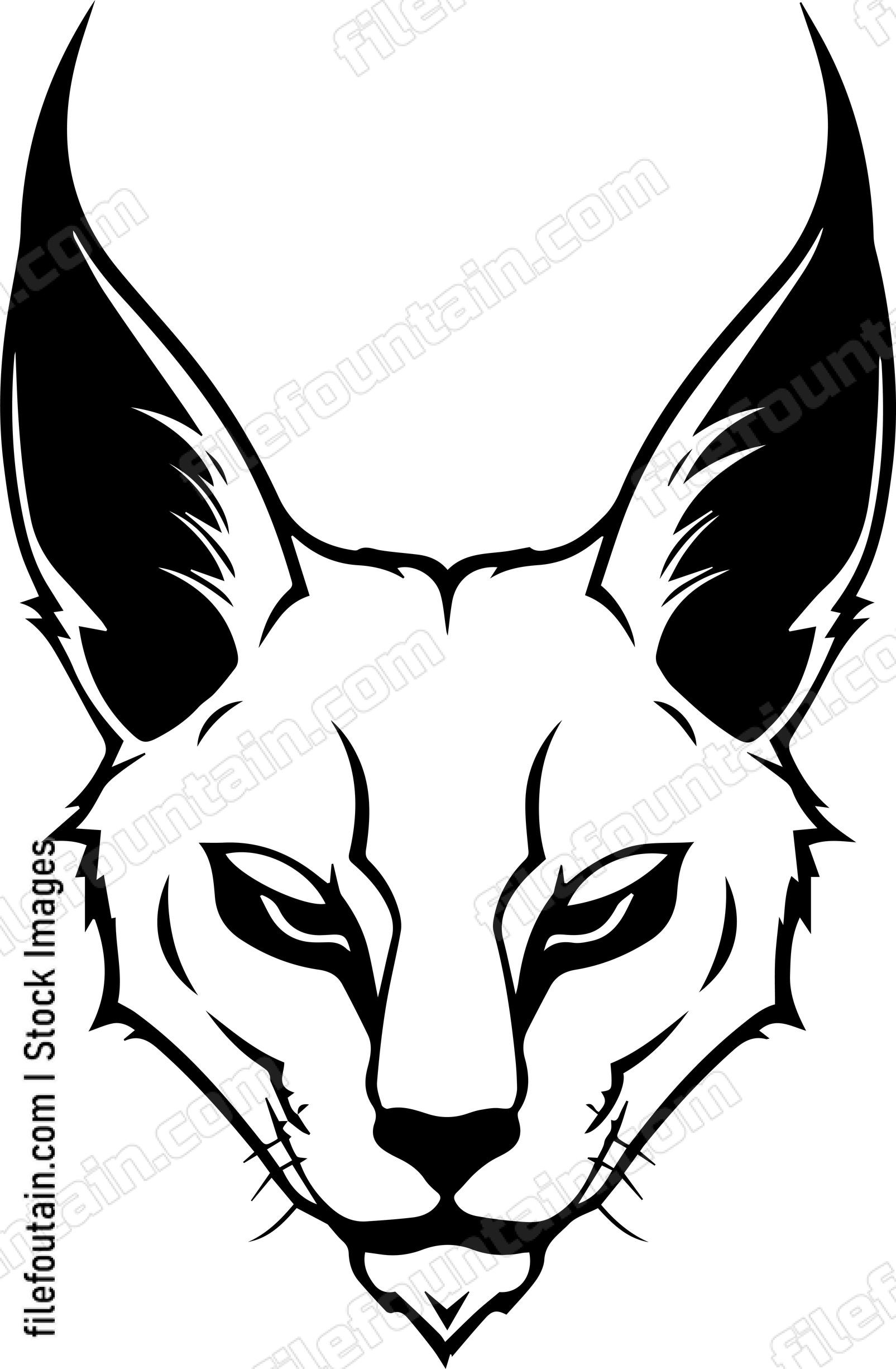 Caracal