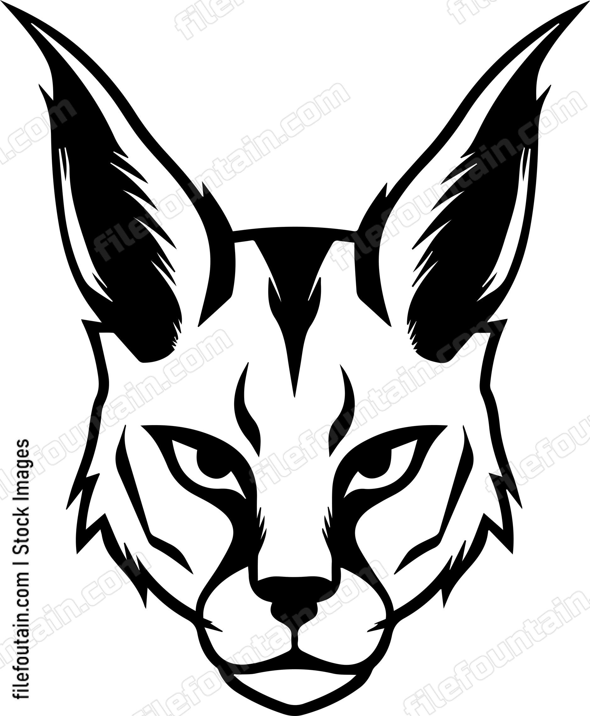 Caracal