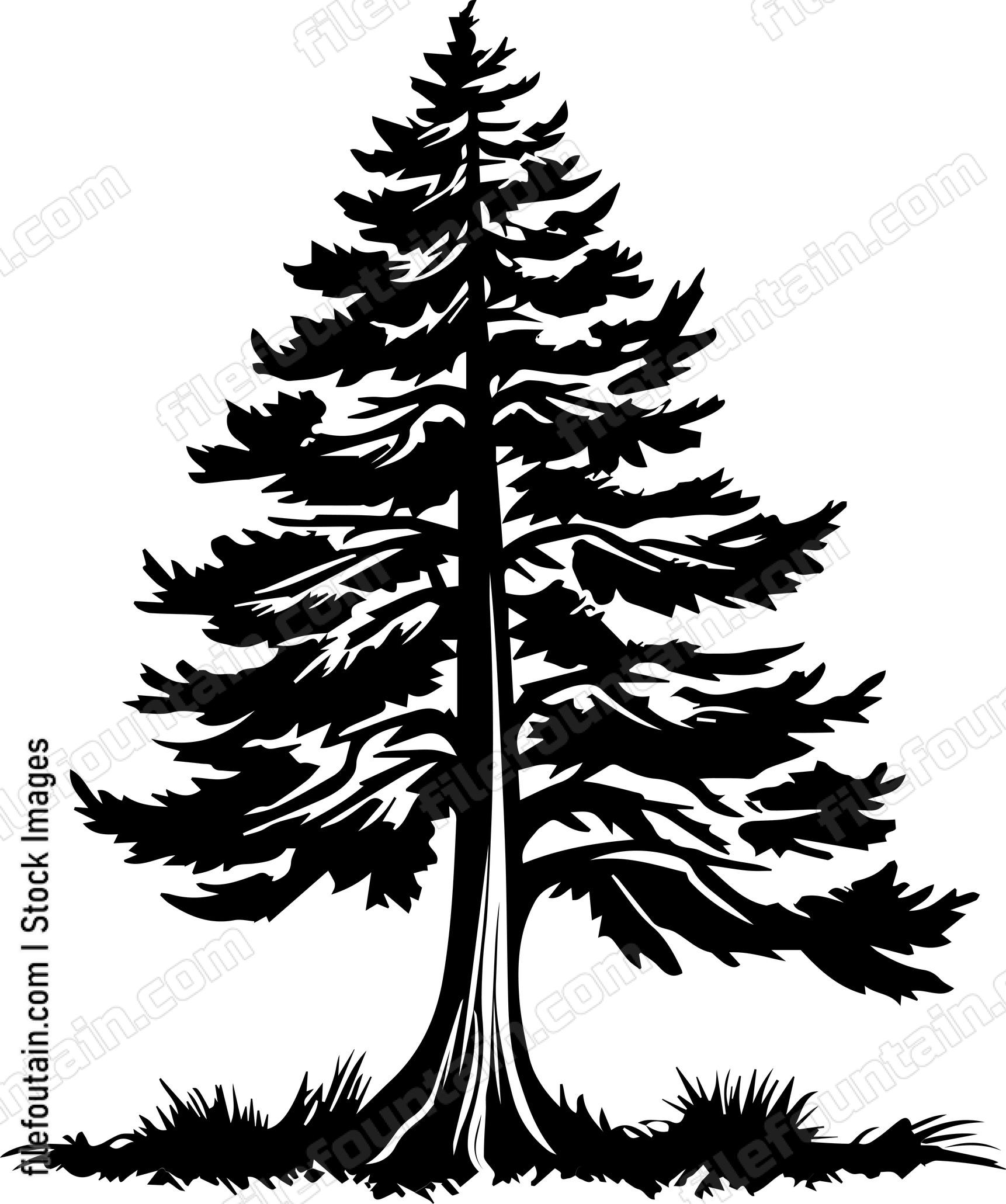 Cedar Tree