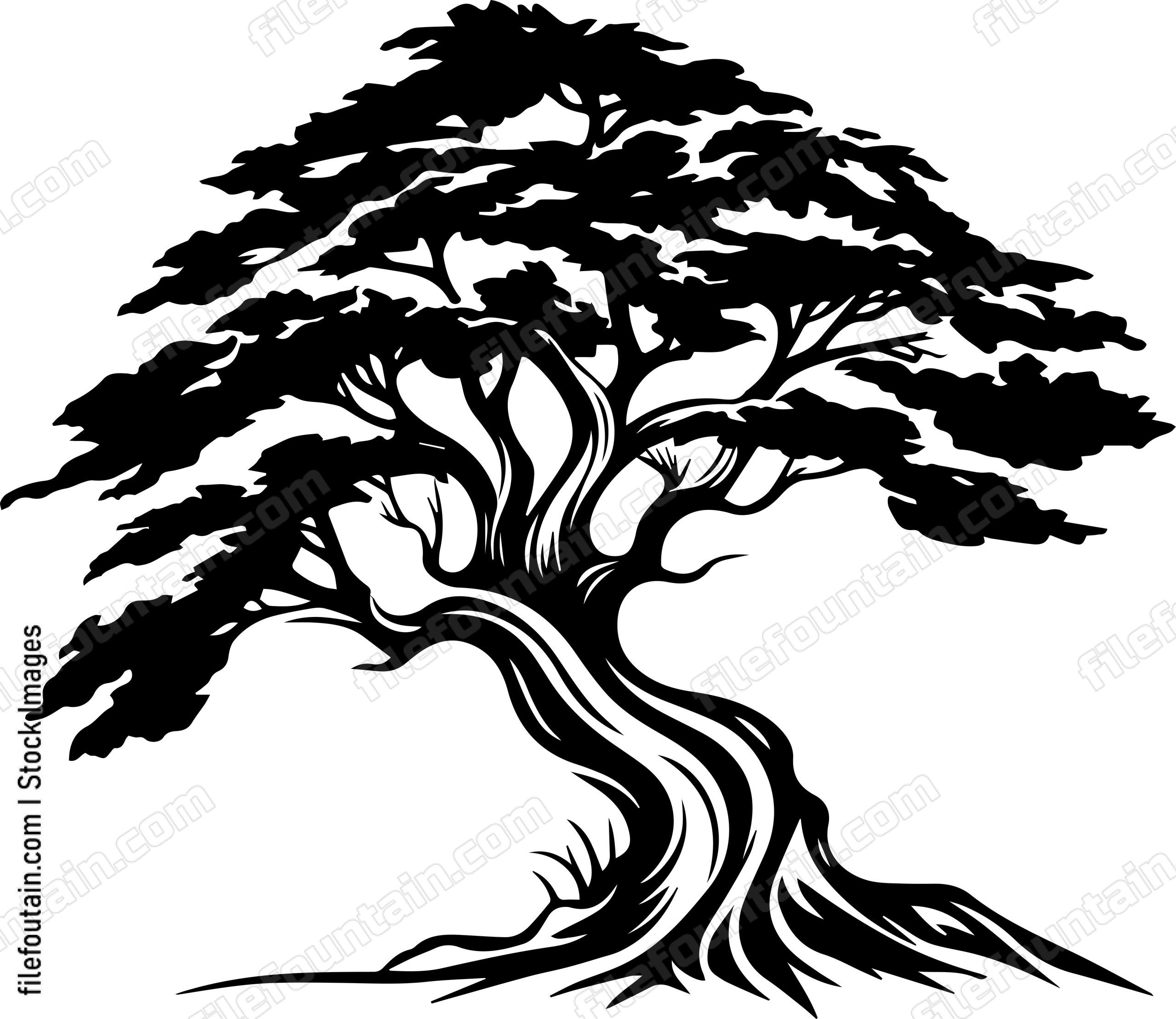 Cedar Tree