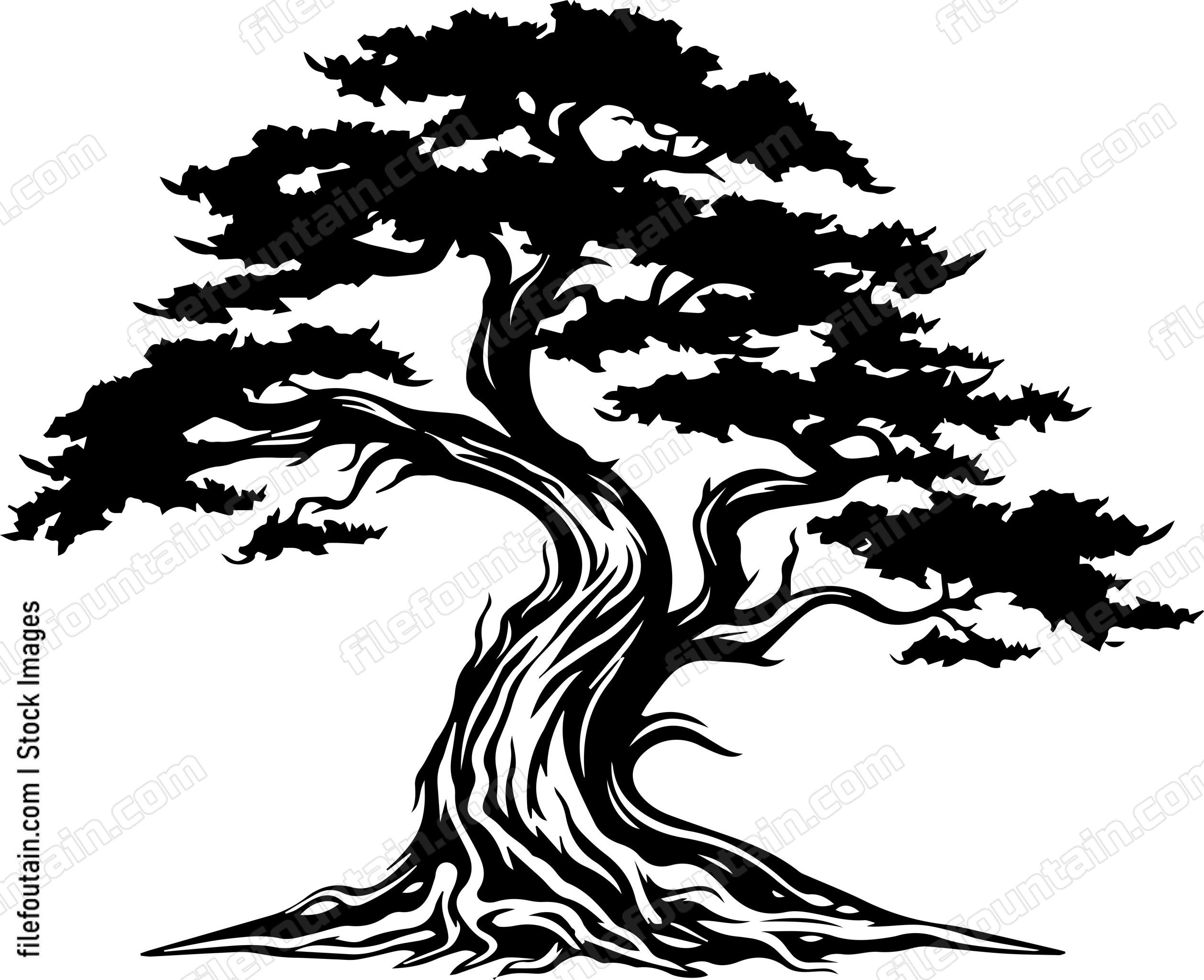 Cedar Tree