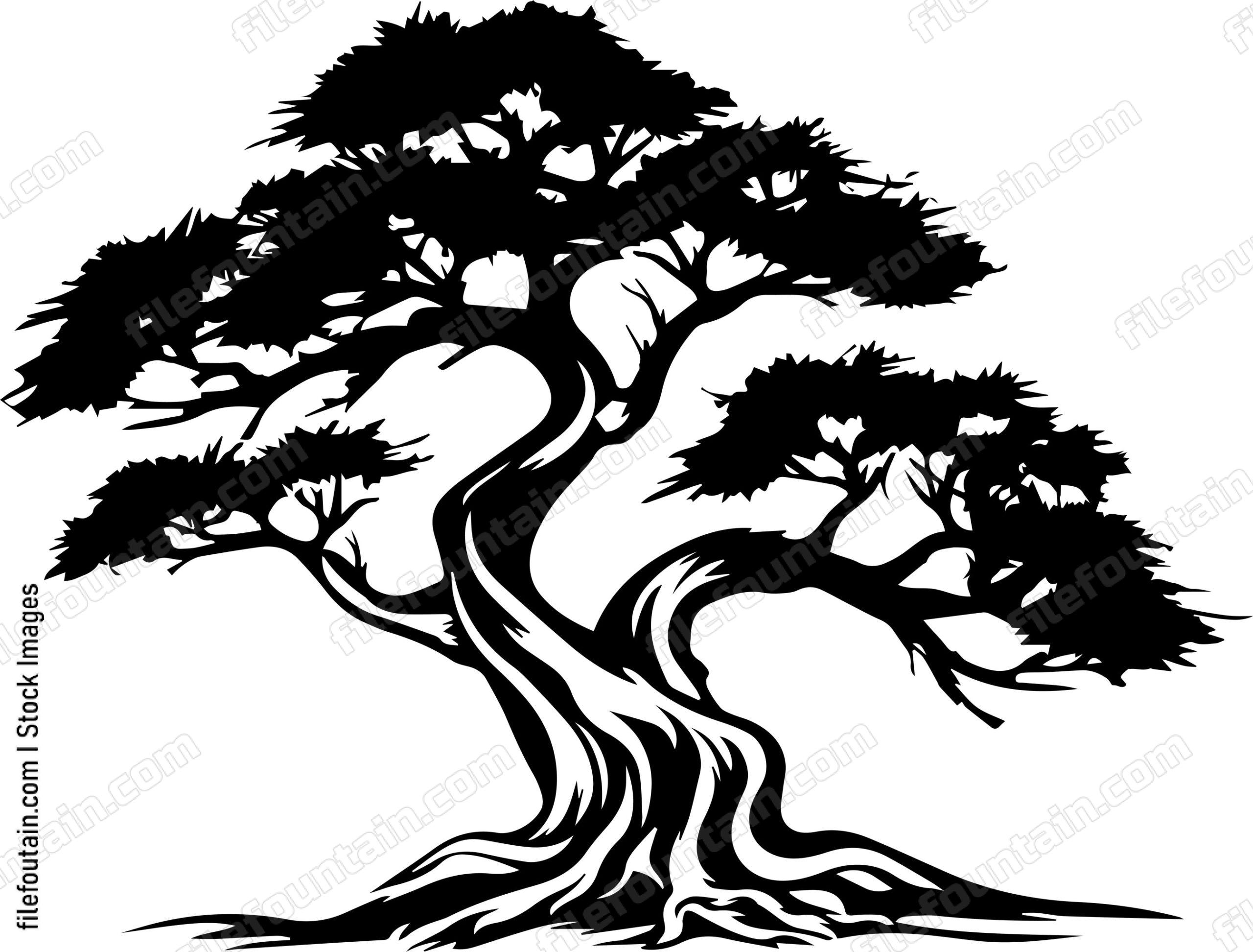 Cedar Tree