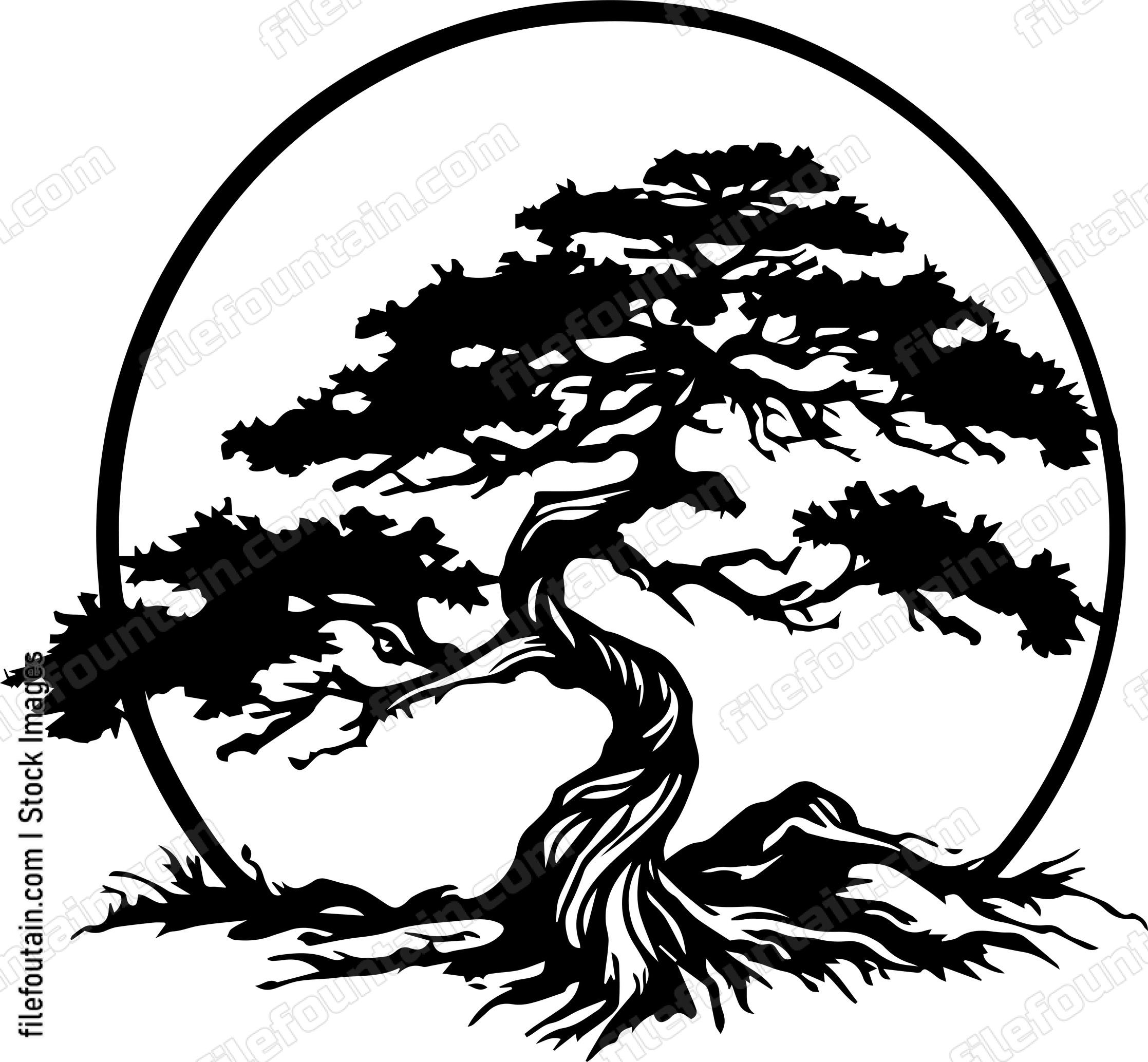 Cedar Tree