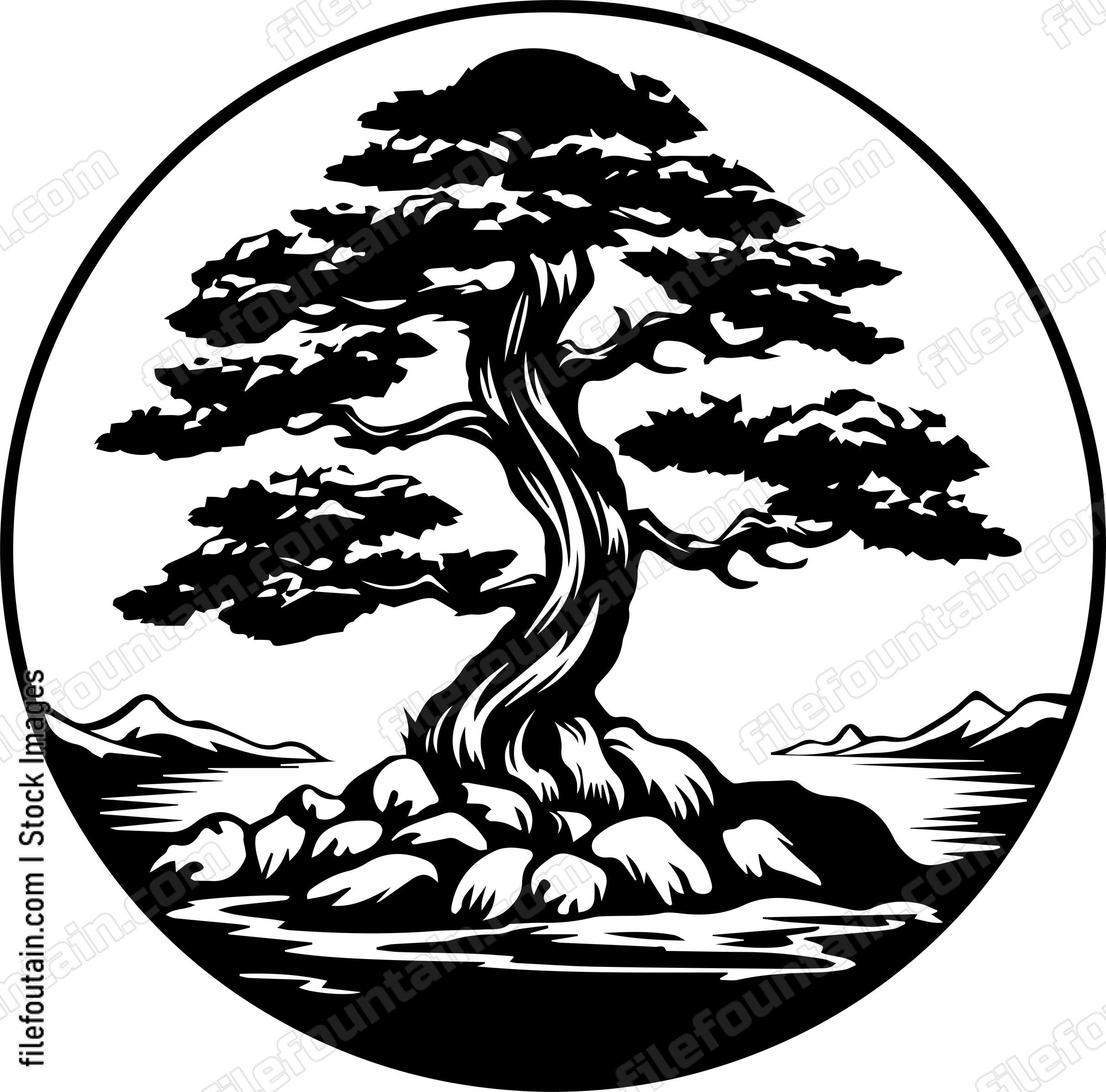 Cedar Tree