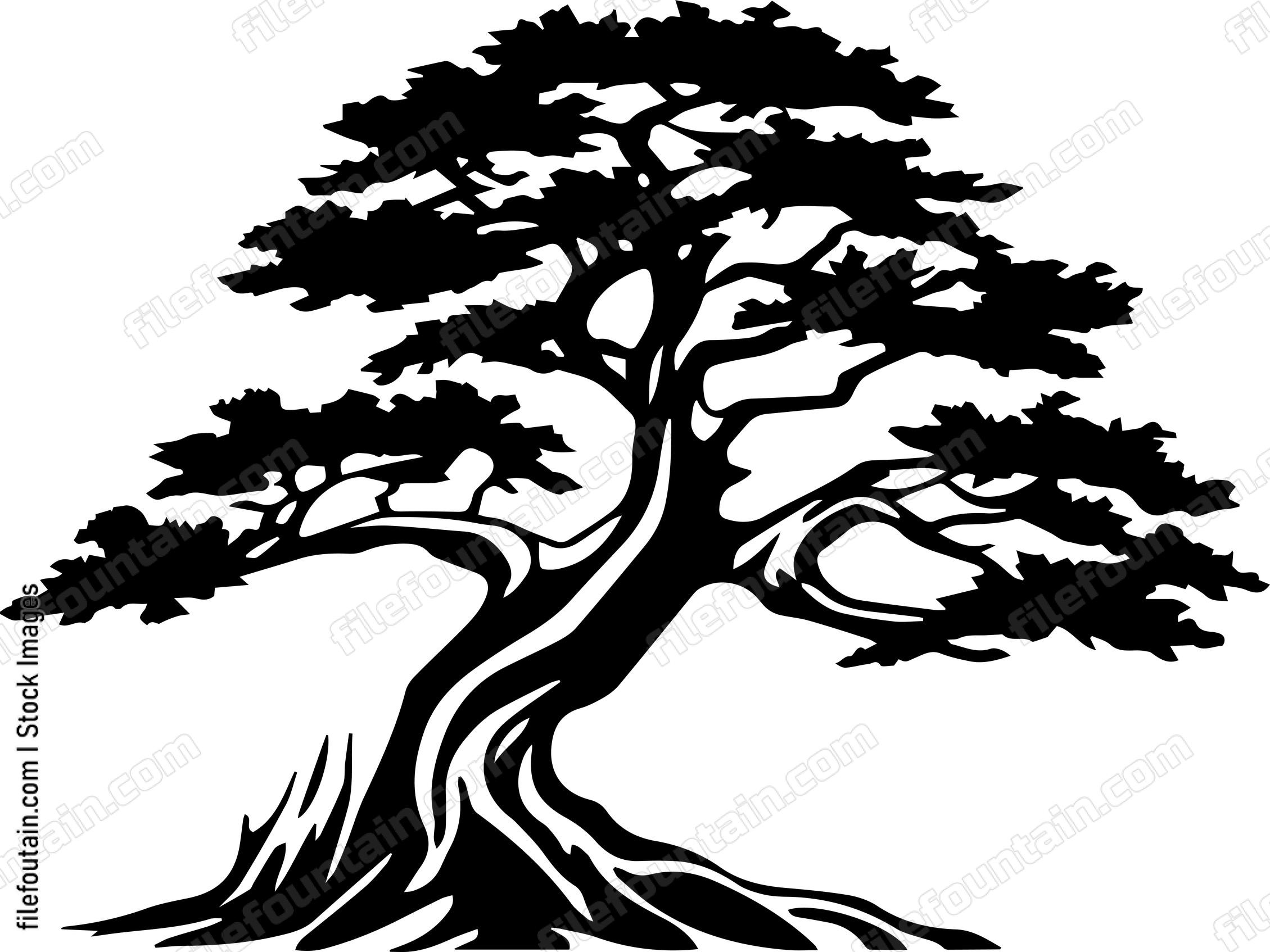 Cedar Tree