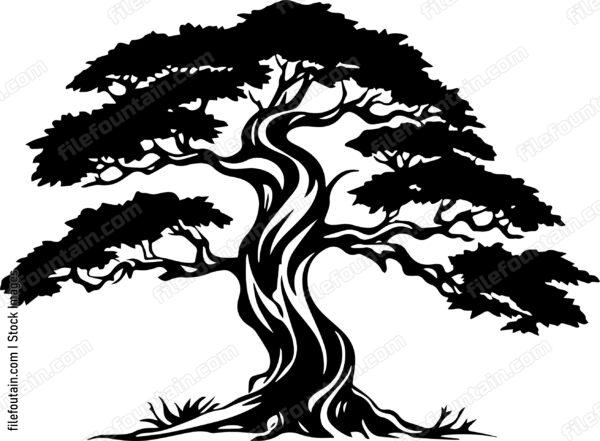 Cedar Tree