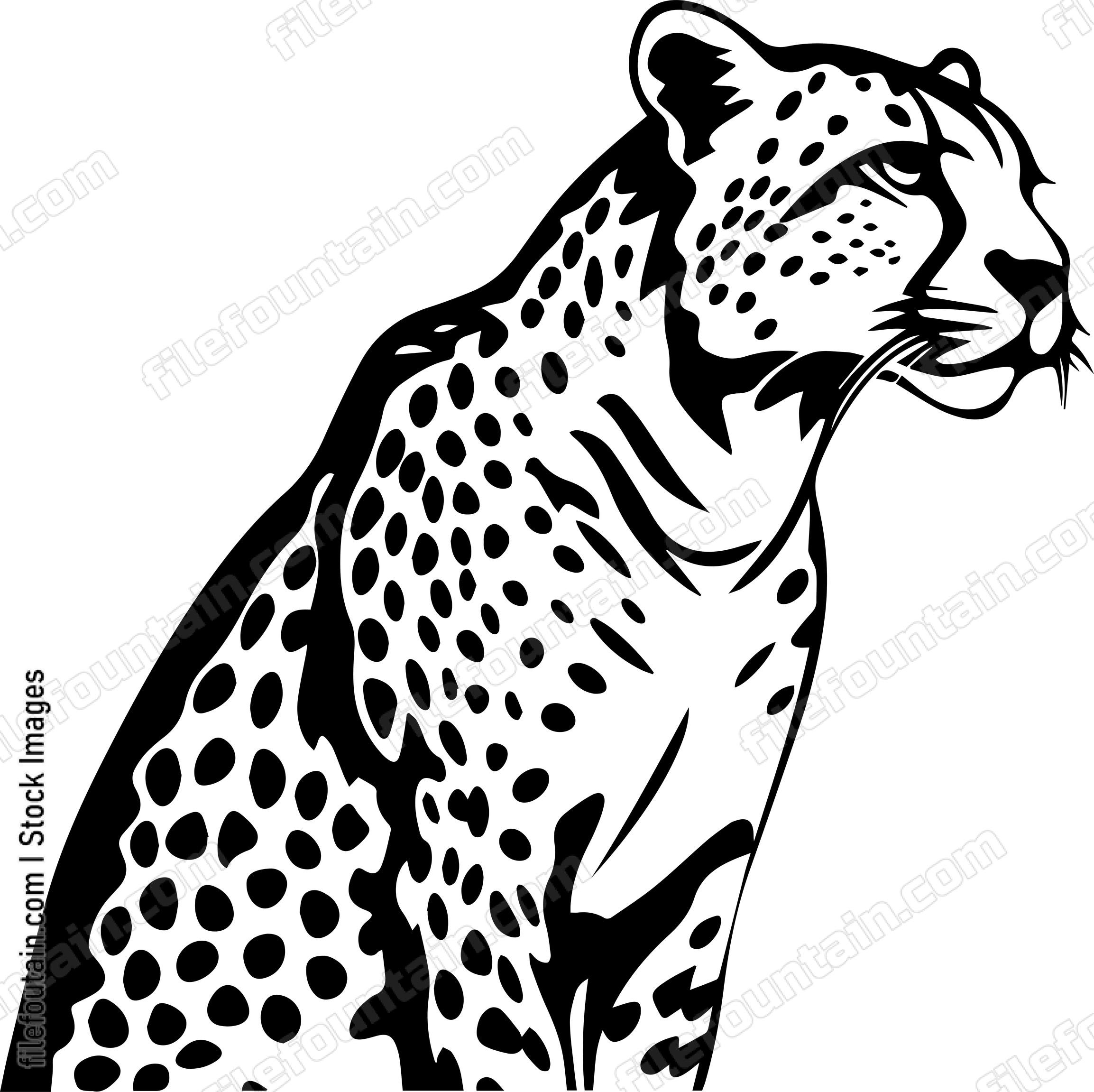 Cheetah
