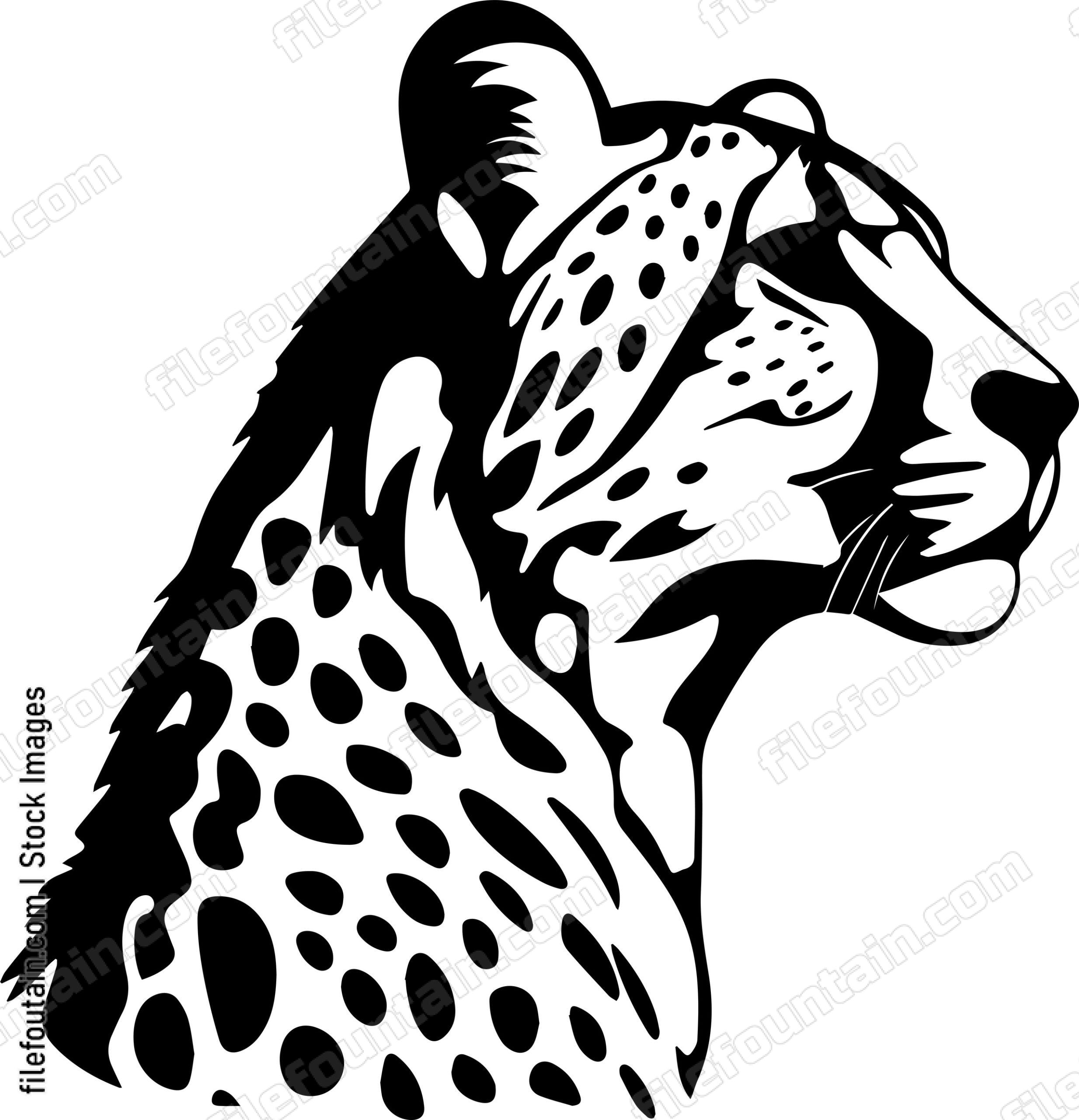 Cheetah