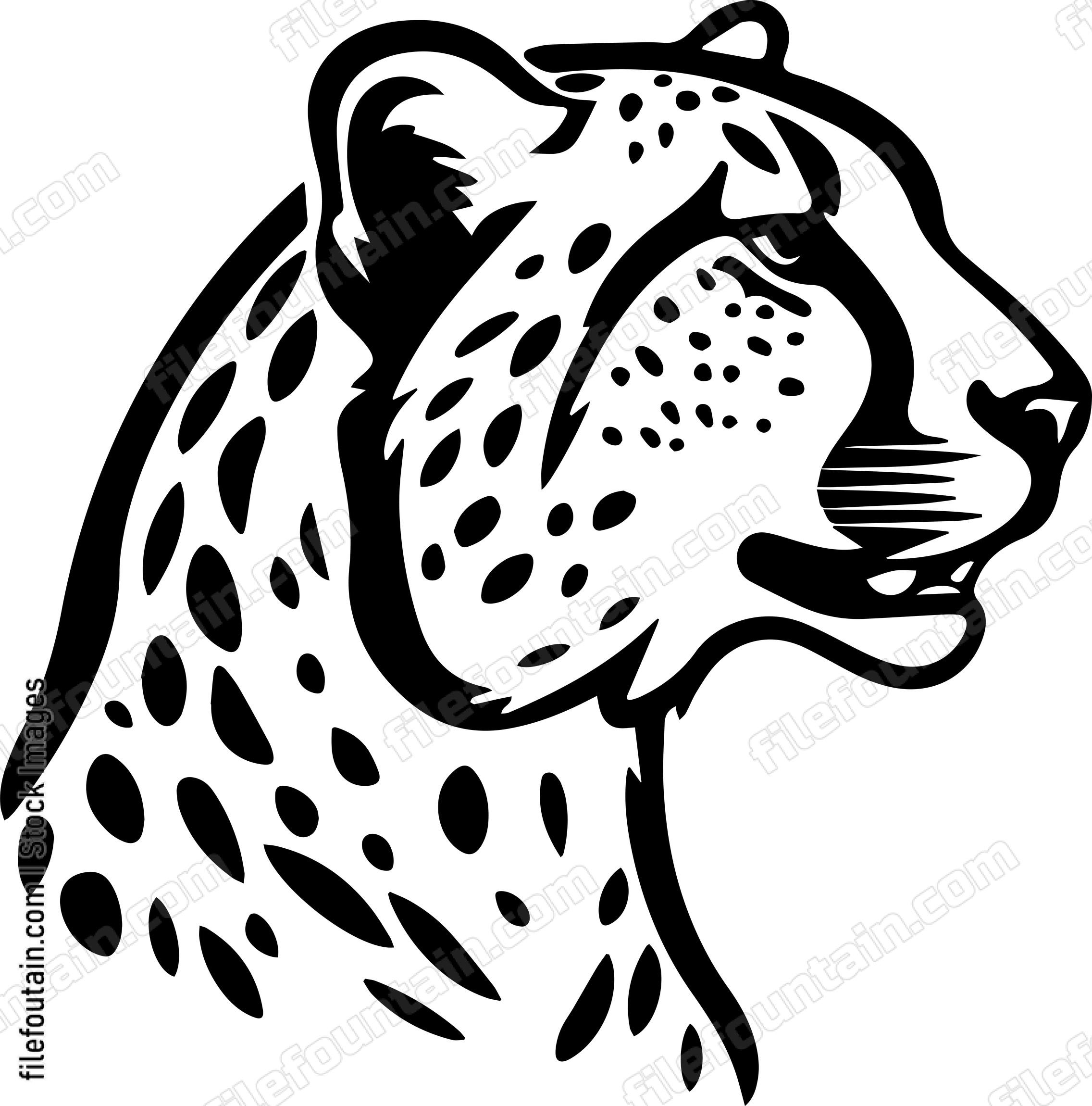Cheetah