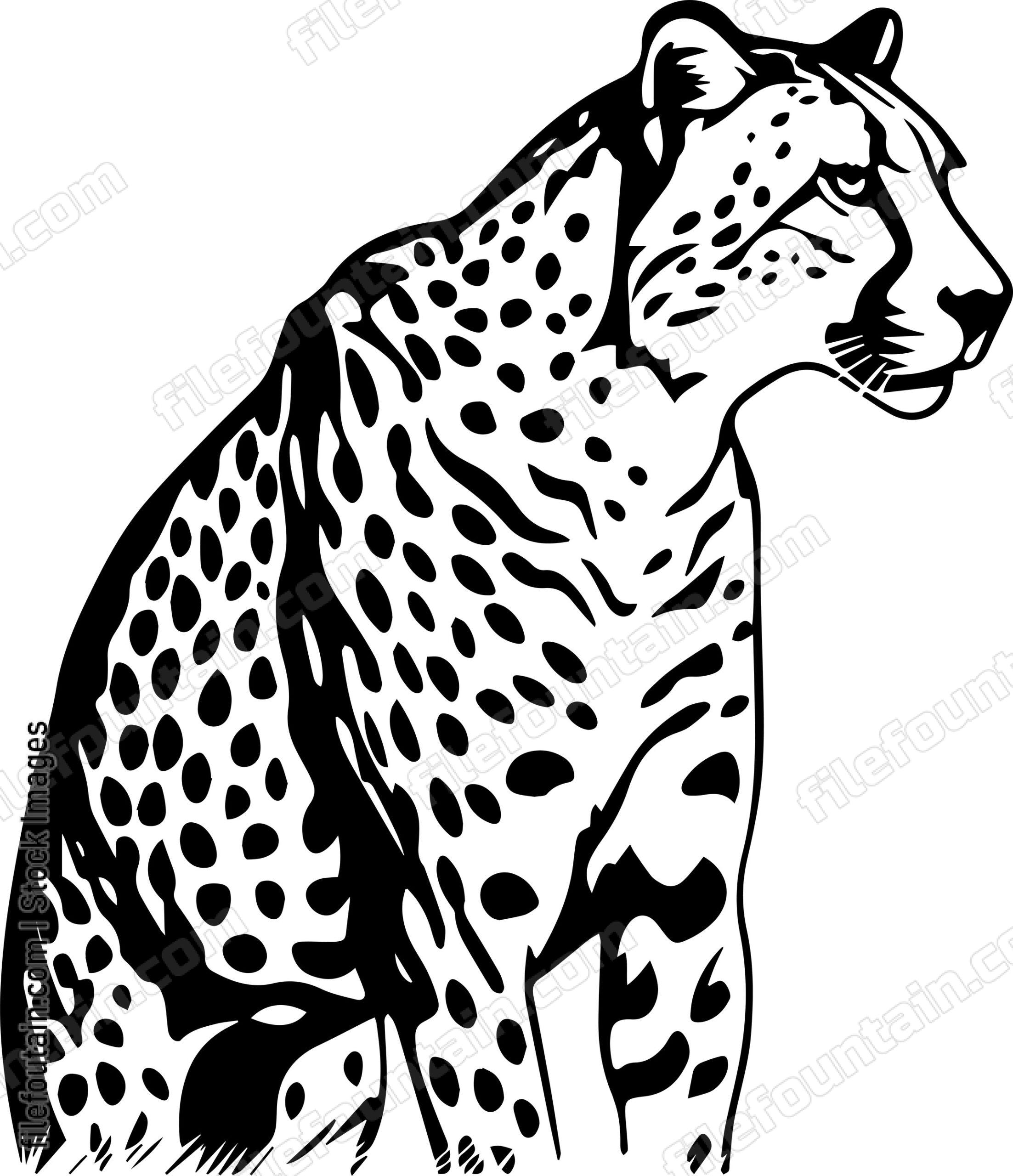 Cheetah