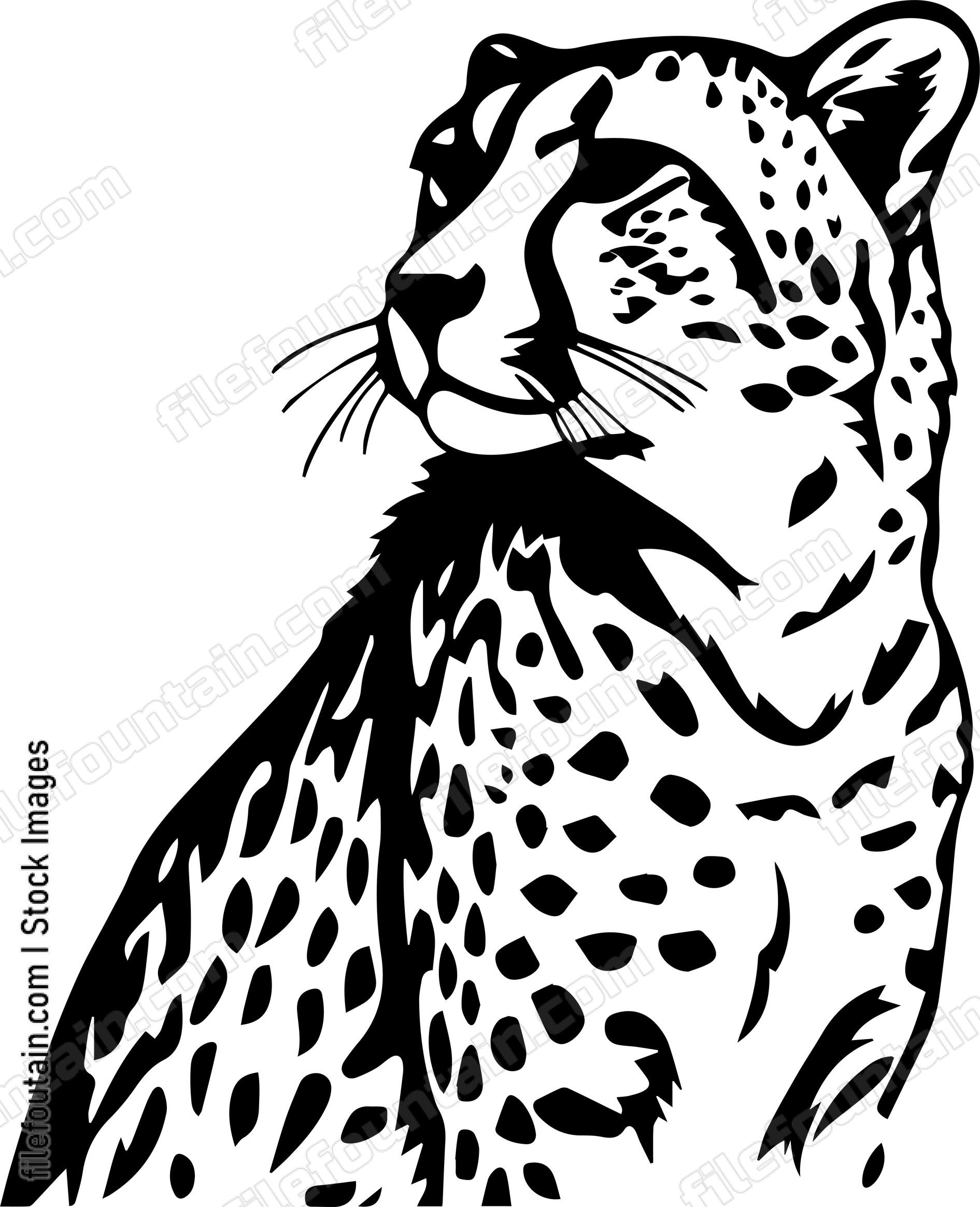 Cheetah