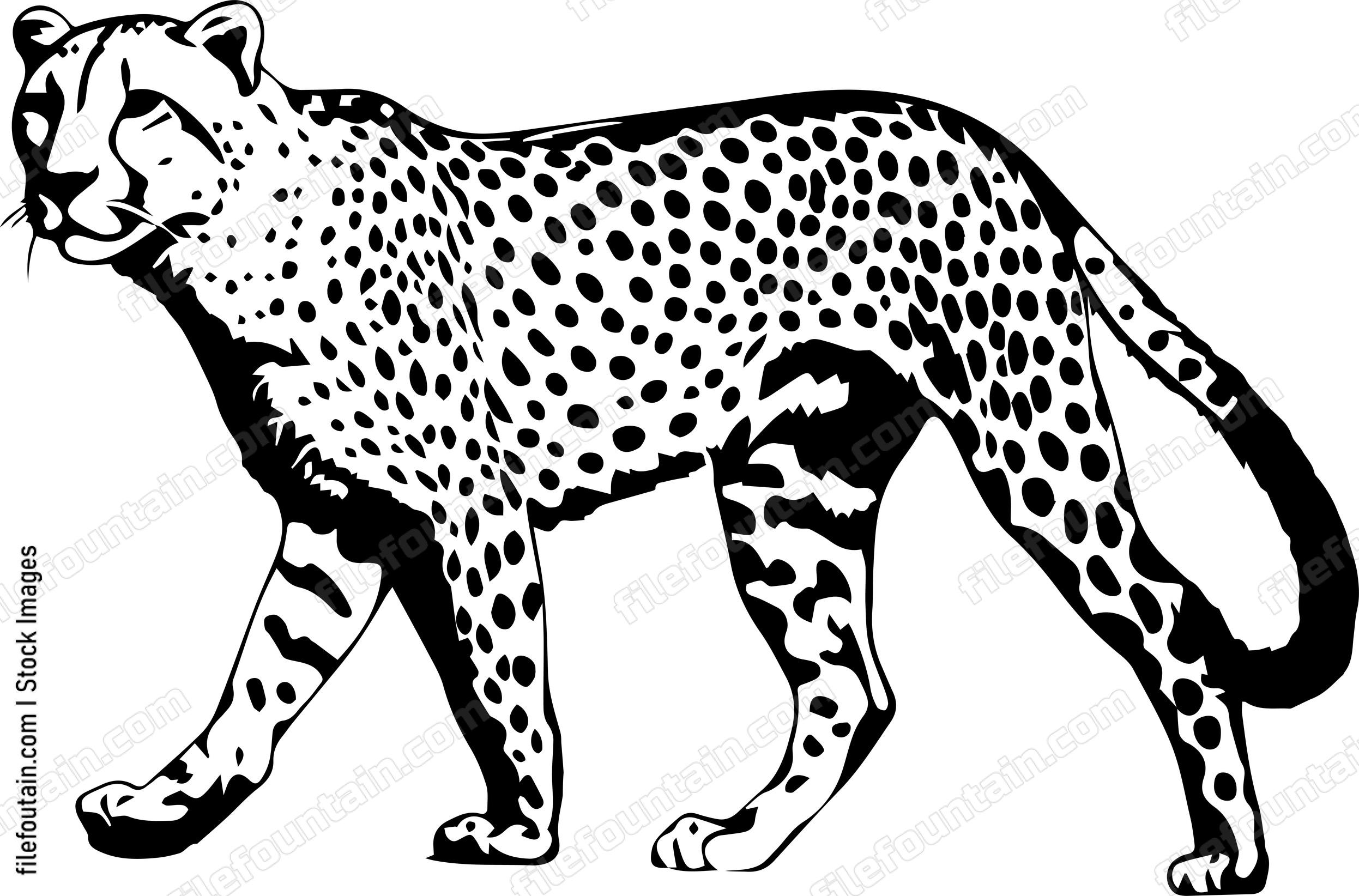 Cheetah